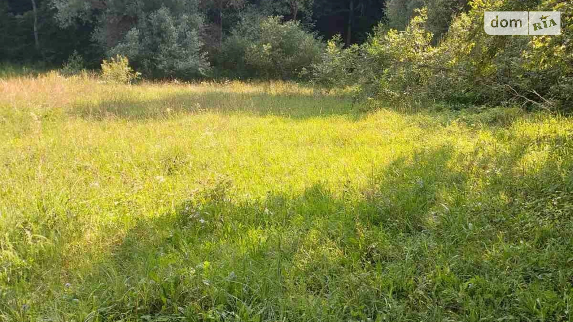 Продается земельный участок 0.0969 соток в Закарпатской области, цена: 237405 грн - фото 4