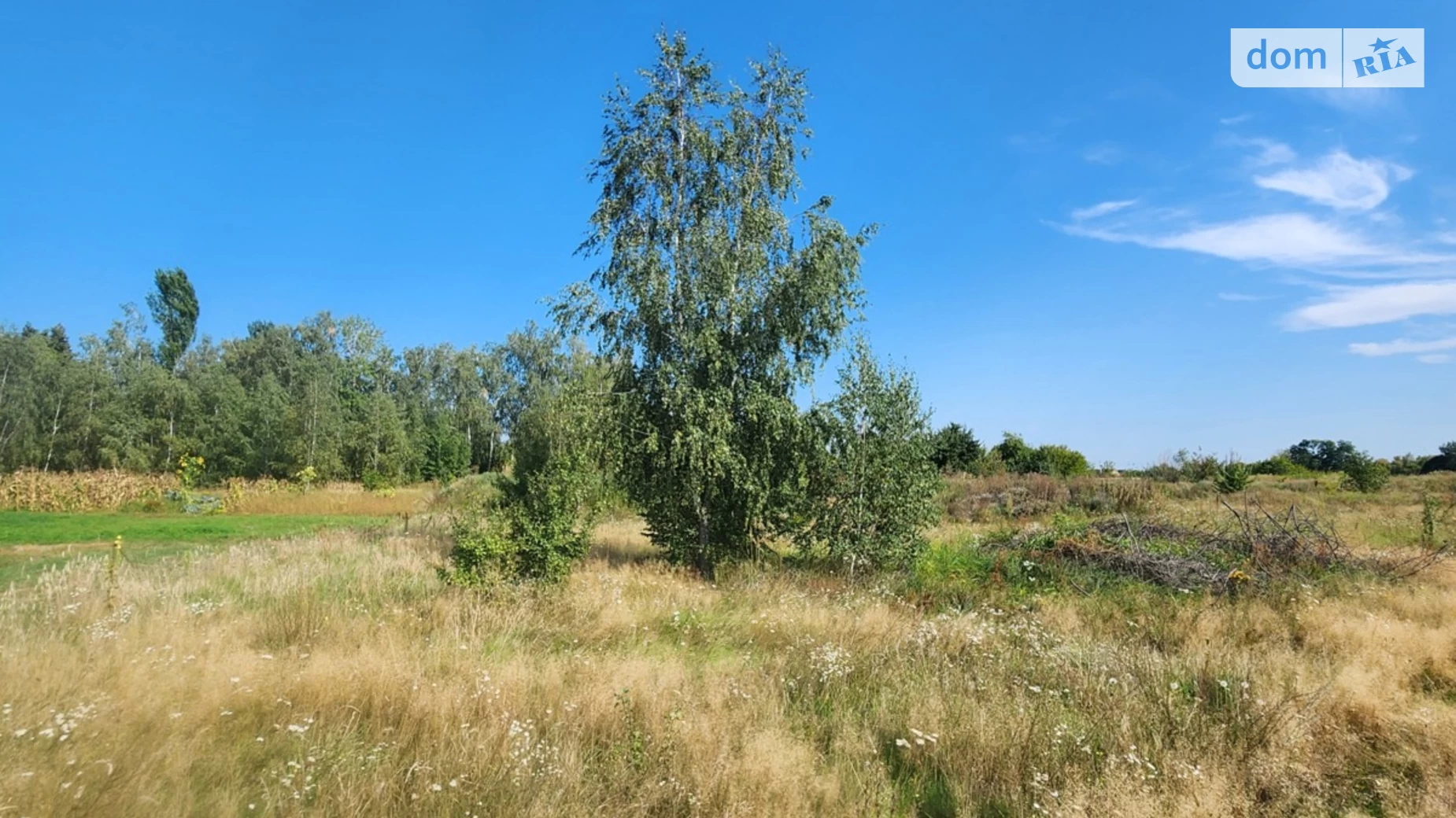 Продается земельный участок 16 соток в Киевской области, цена: 8000 $ - фото 5