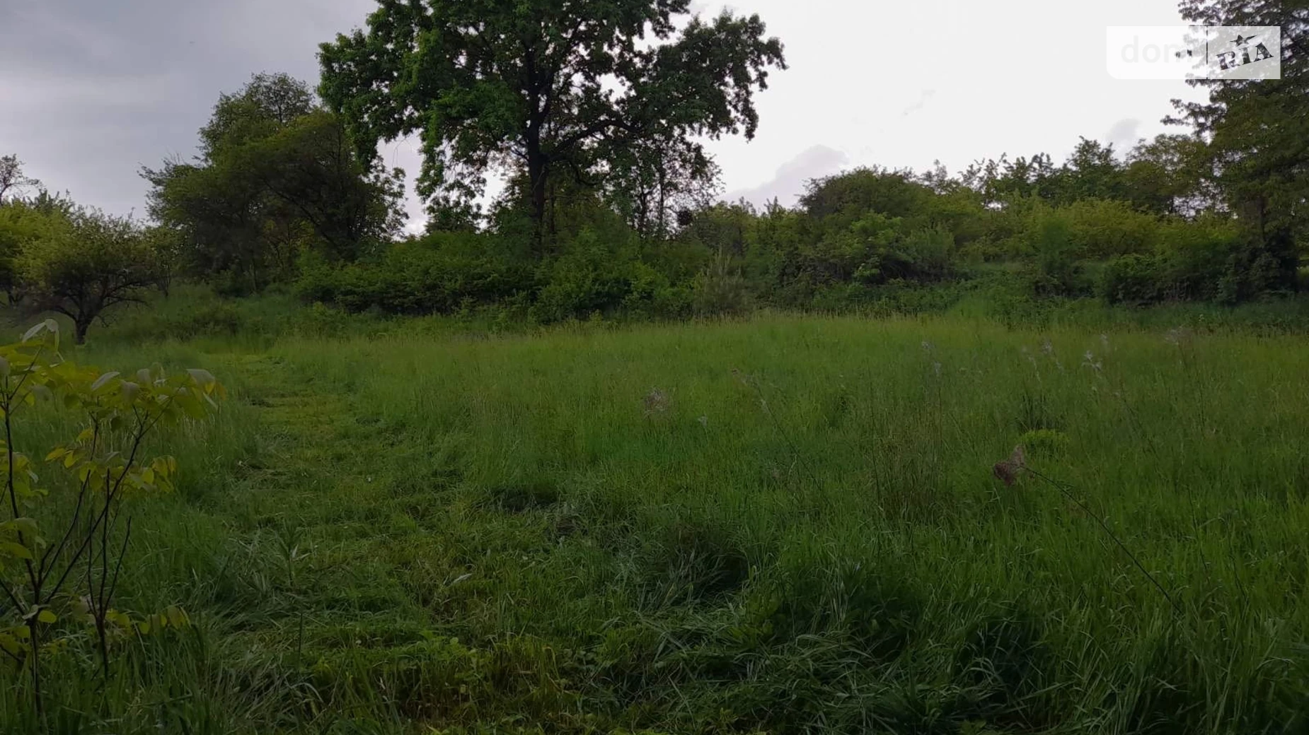 Продается земельный участок 52 соток в Винницкой области, цена: 29000 $ - фото 3