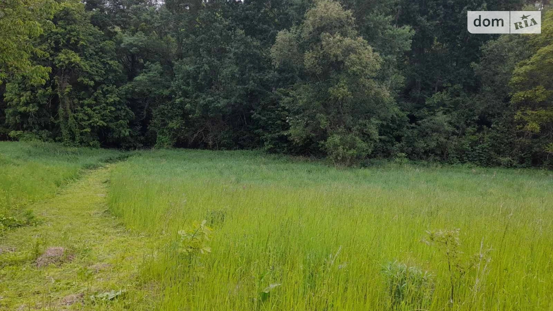 Продается земельный участок 52 соток в Винницкой области, цена: 29000 $ - фото 4