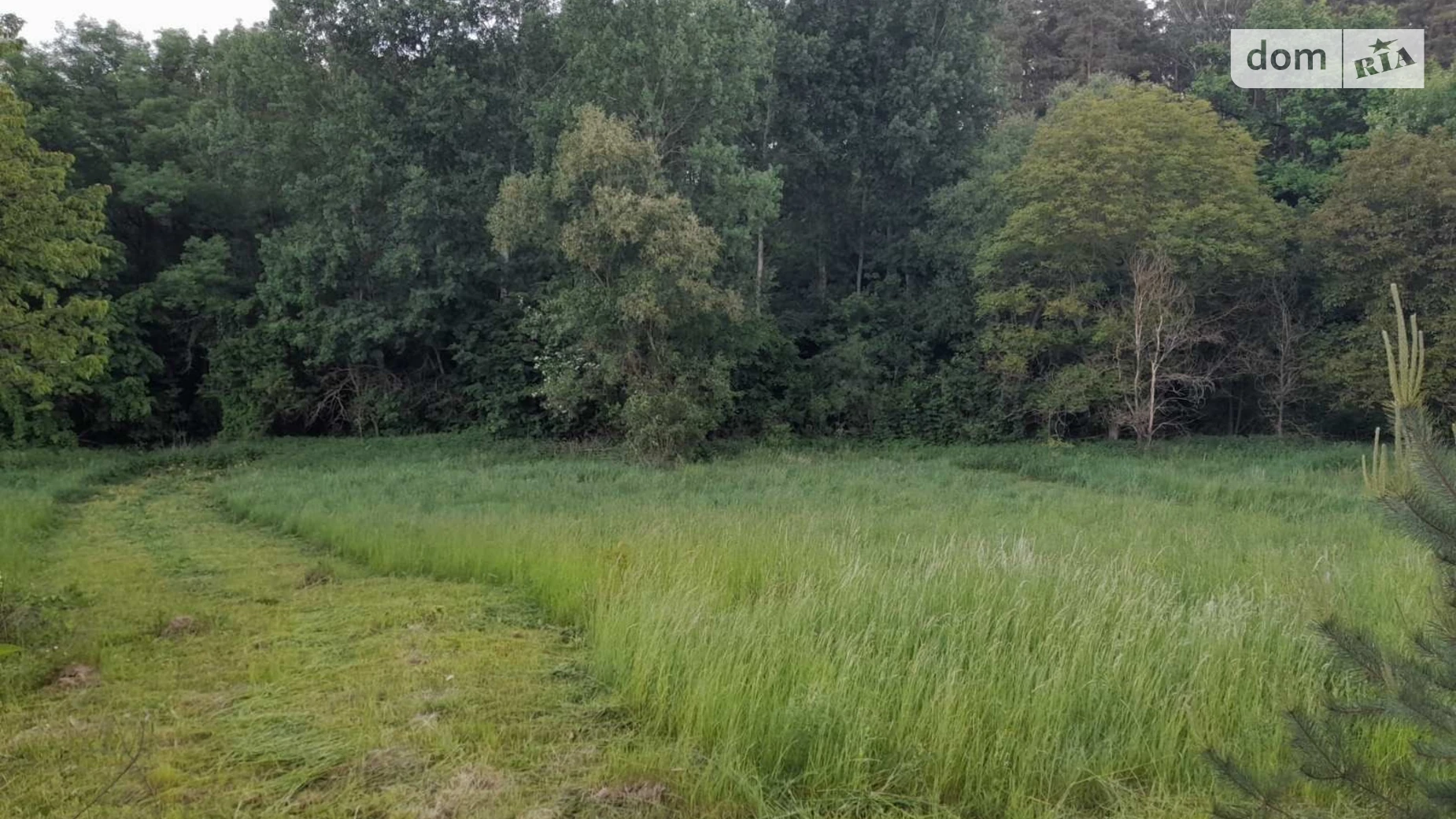 Продается земельный участок 52 соток в Винницкой области, цена: 29000 $ - фото 5