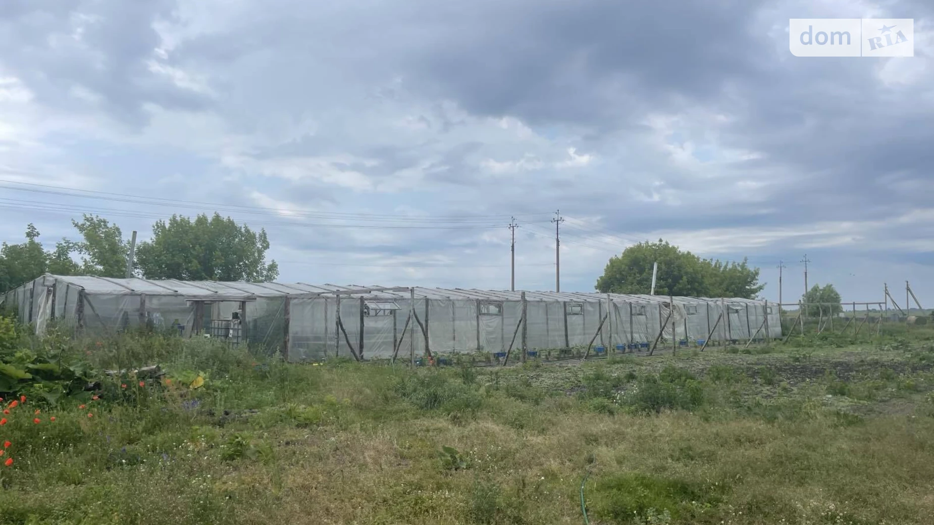 вулиця Зірненька, 56 Зирное, цена: 45000 грн - фото 4