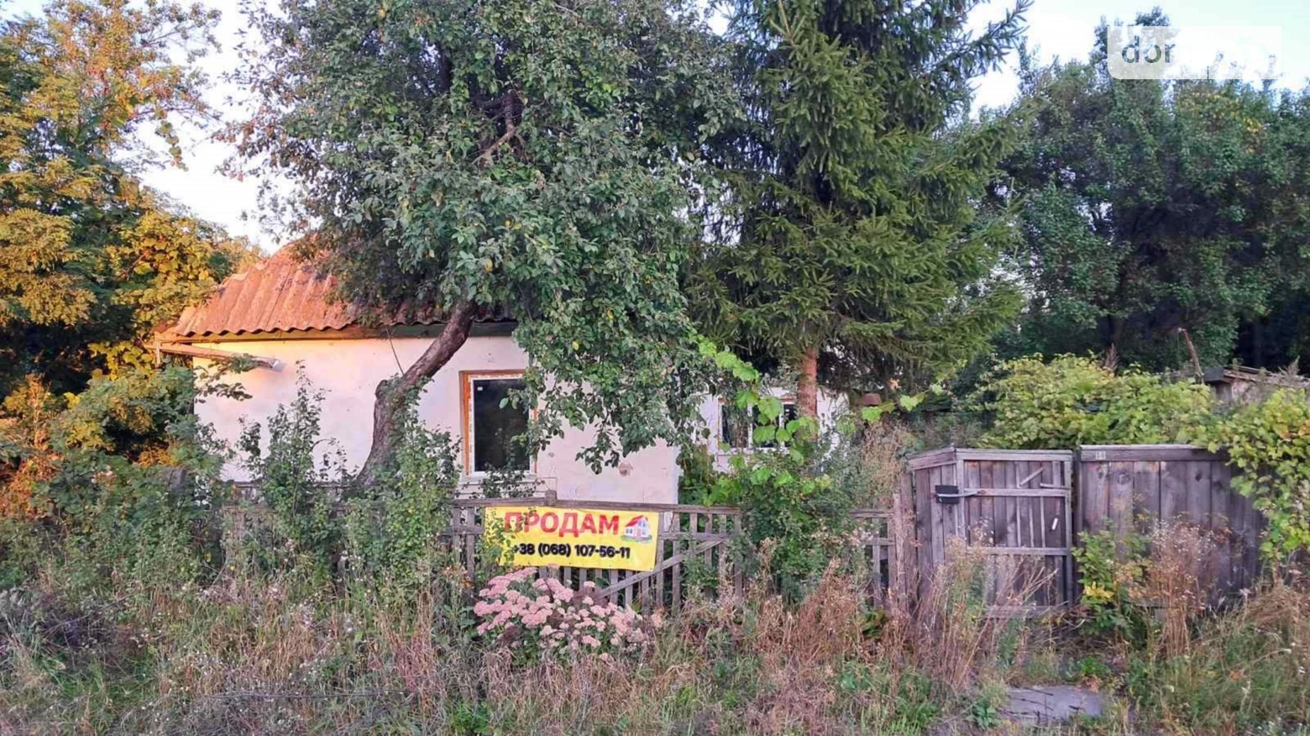 Продается земельный участок 95 соток в Черниговской области, цена: 11000 $ - фото 3