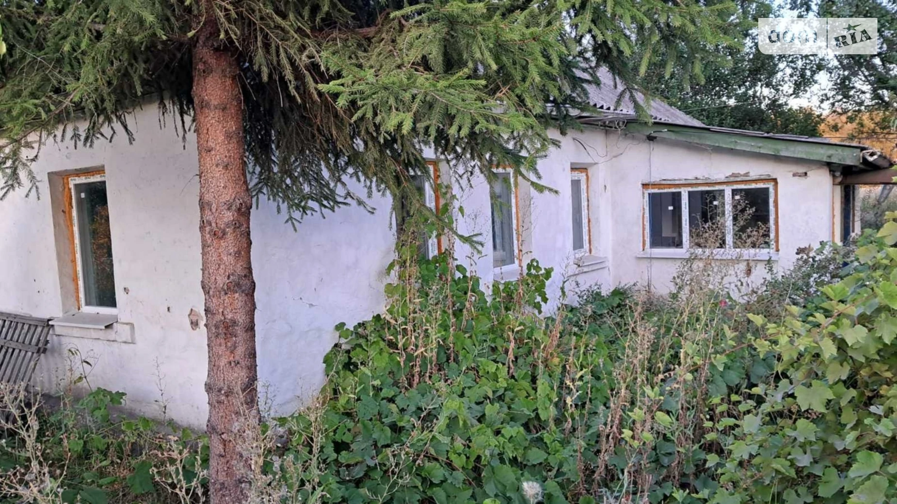 Продается земельный участок 95 соток в Черниговской области, цена: 11000 $ - фото 5