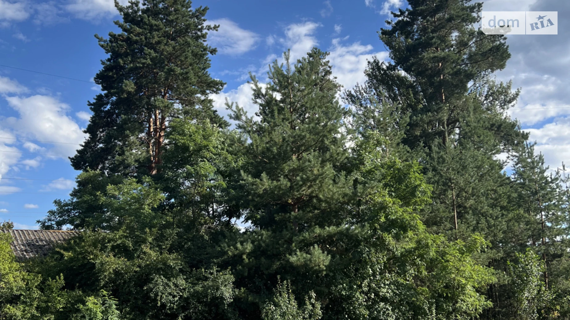 Сокирна, цена: 30000 $ - фото 2