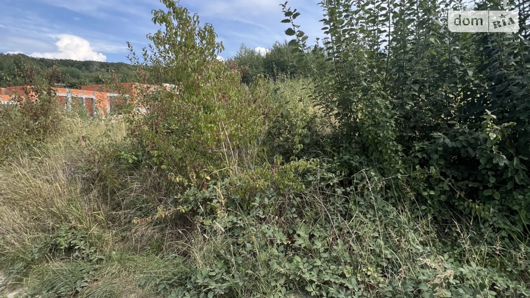 ул. Иршавская Червеница Ужгород, цена: 41000 $ - фото 3