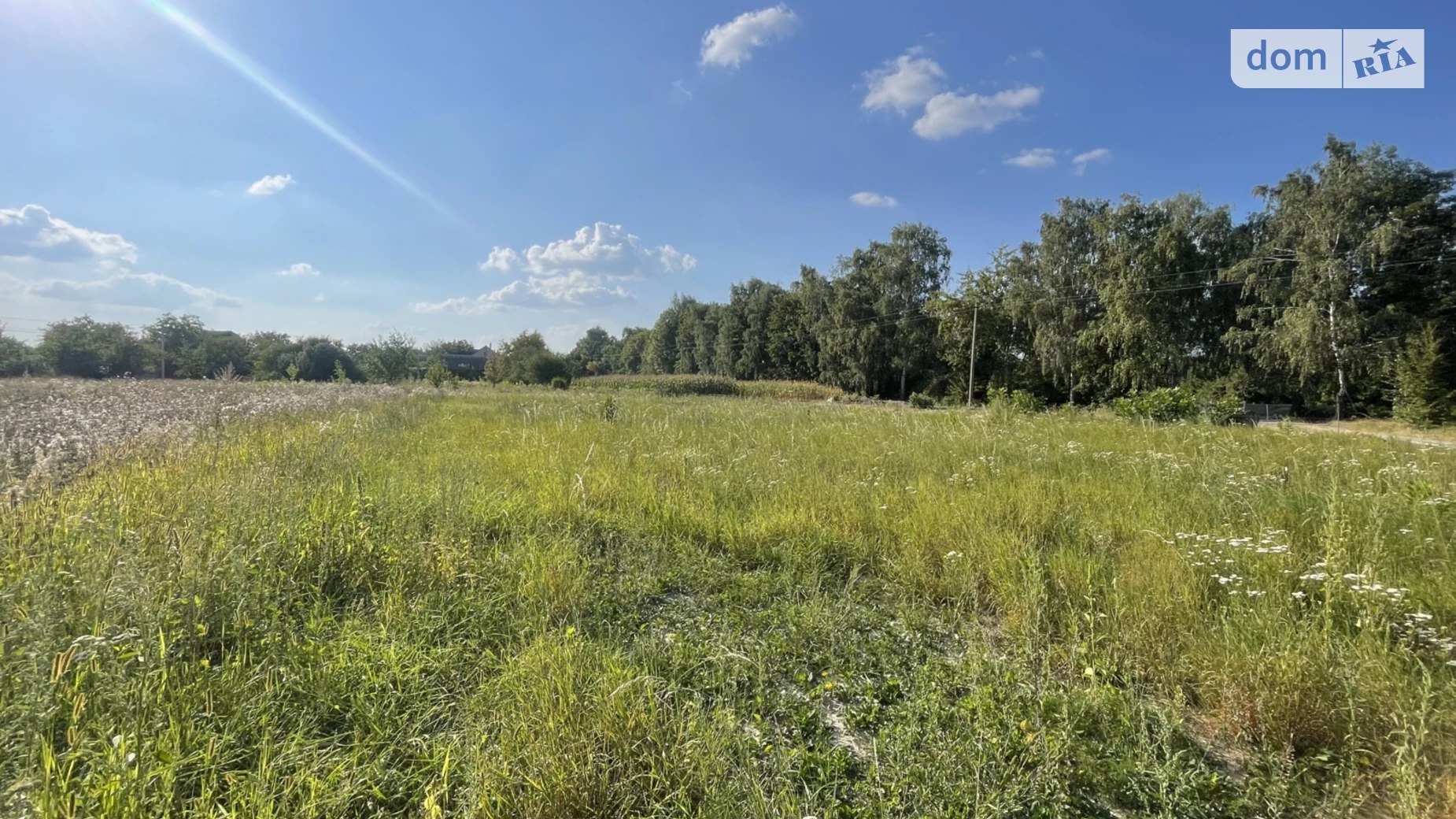 Продается земельный участок 6.5 соток в Винницкой области, цена: 11500 $ - фото 5