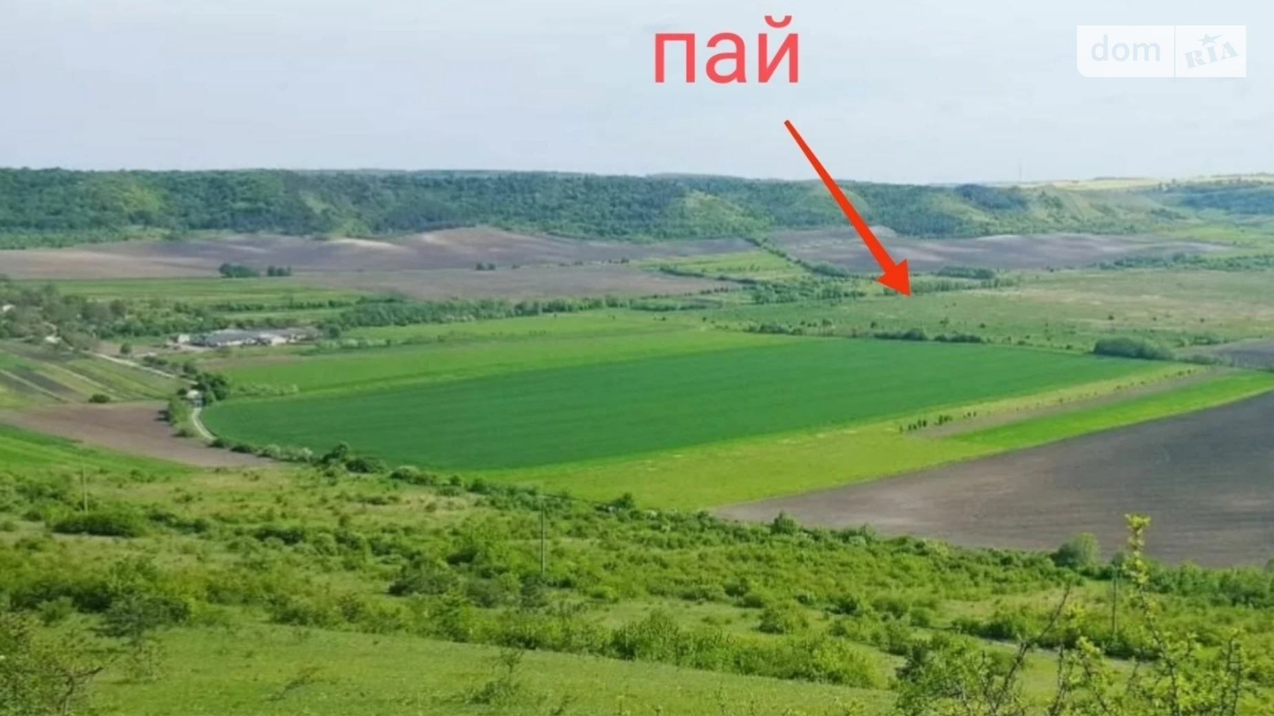 Стенка, цена: 1400 $ - фото 4