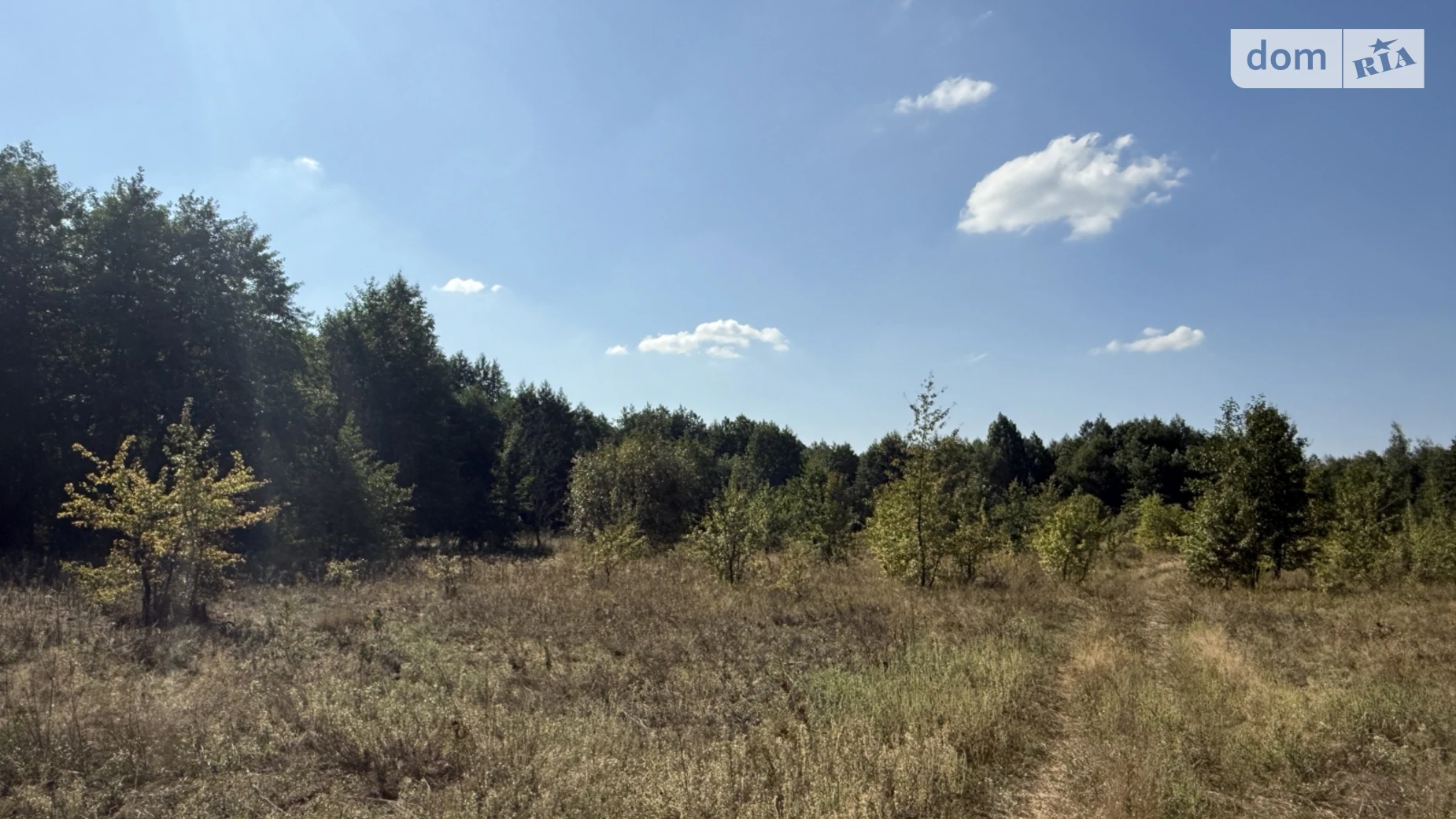 ул. Лесная Воропаев, цена: 80000 $ - фото 3