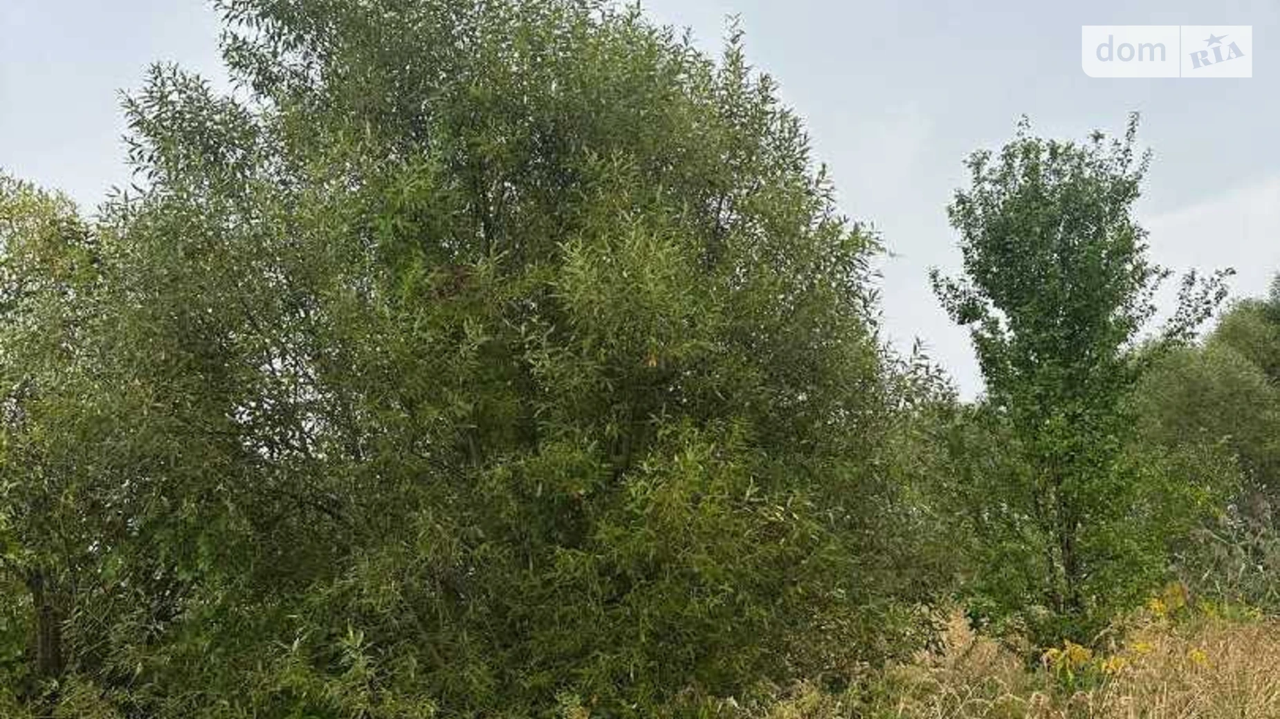 Суховоля, цена: 46000 $ - фото 3