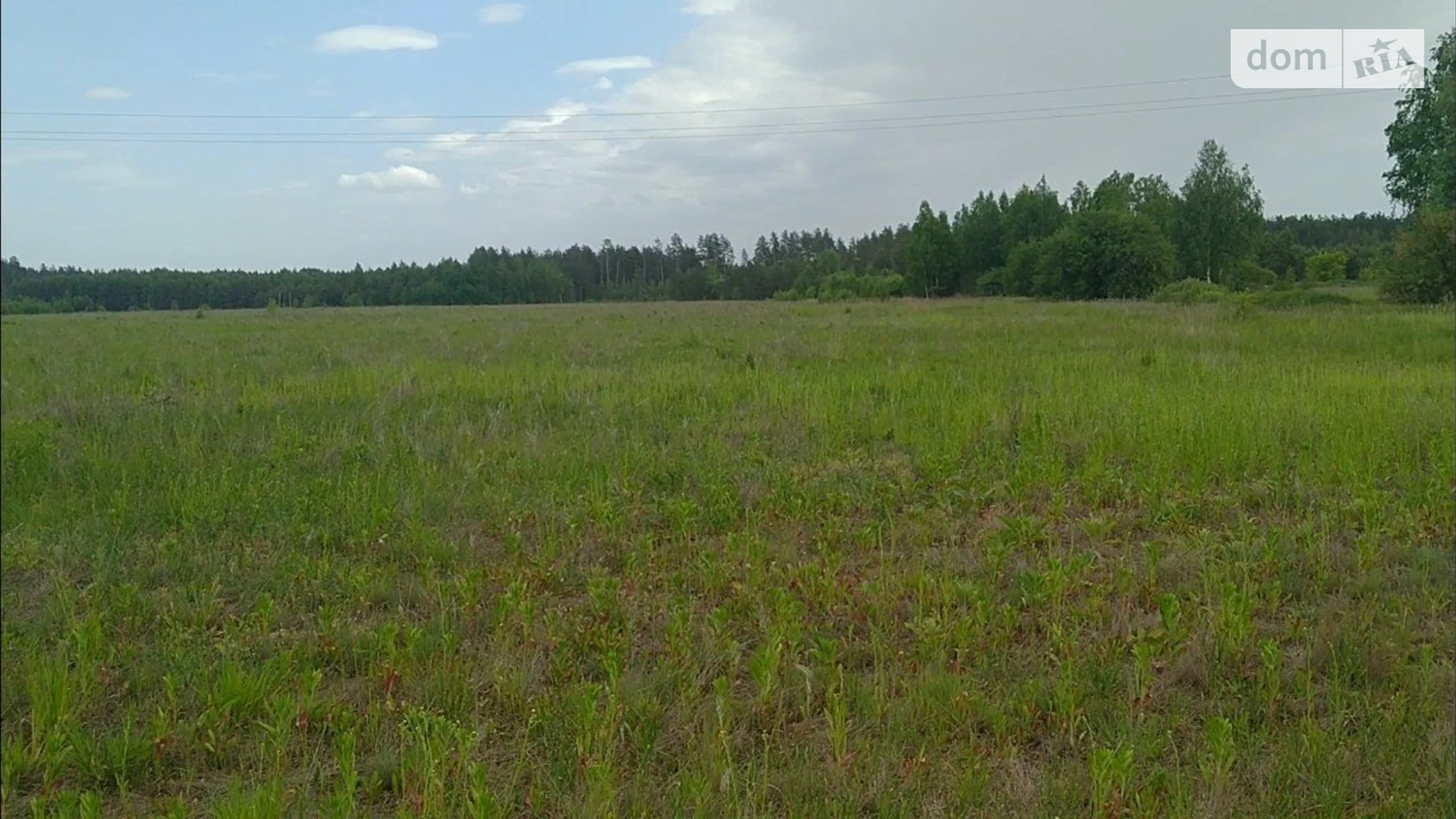 Сдается в аренду земельный участок 10.0278 соток в  области, цена: 15517 грн - фото 2