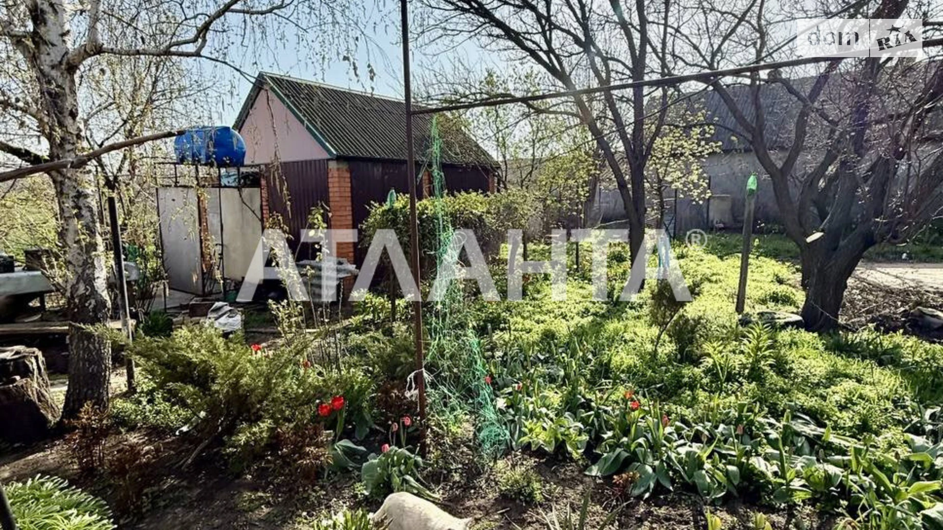 Продается одноэтажный дом 150 кв. м с участком, цена: 27000 $ - фото 3