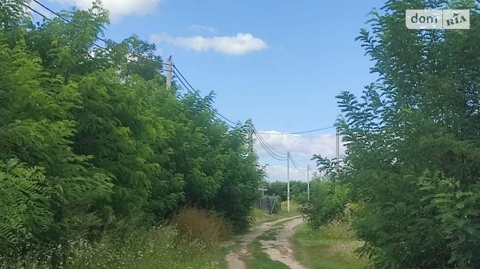 мас. Поляна Прибужское (Шкуринци), цена: 25000 $ - фото 2