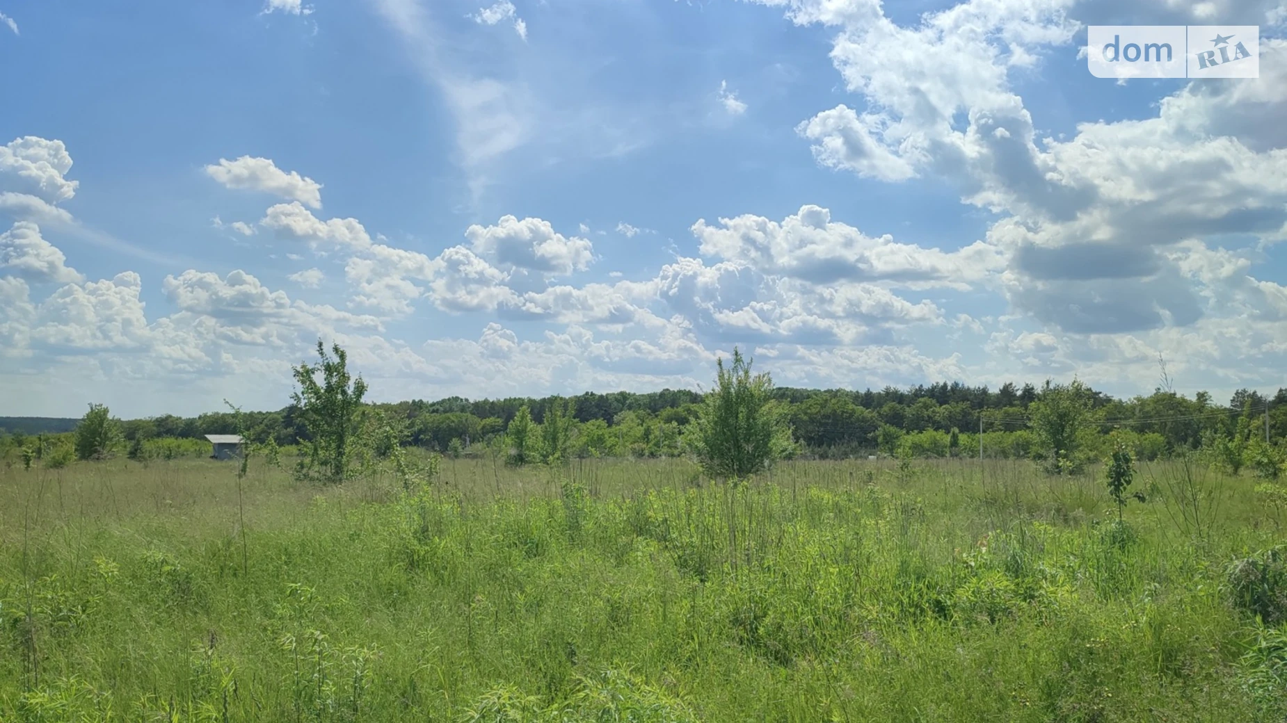 мас. Поляна Прибужское (Шкуринци), цена: 25000 $ - фото 5