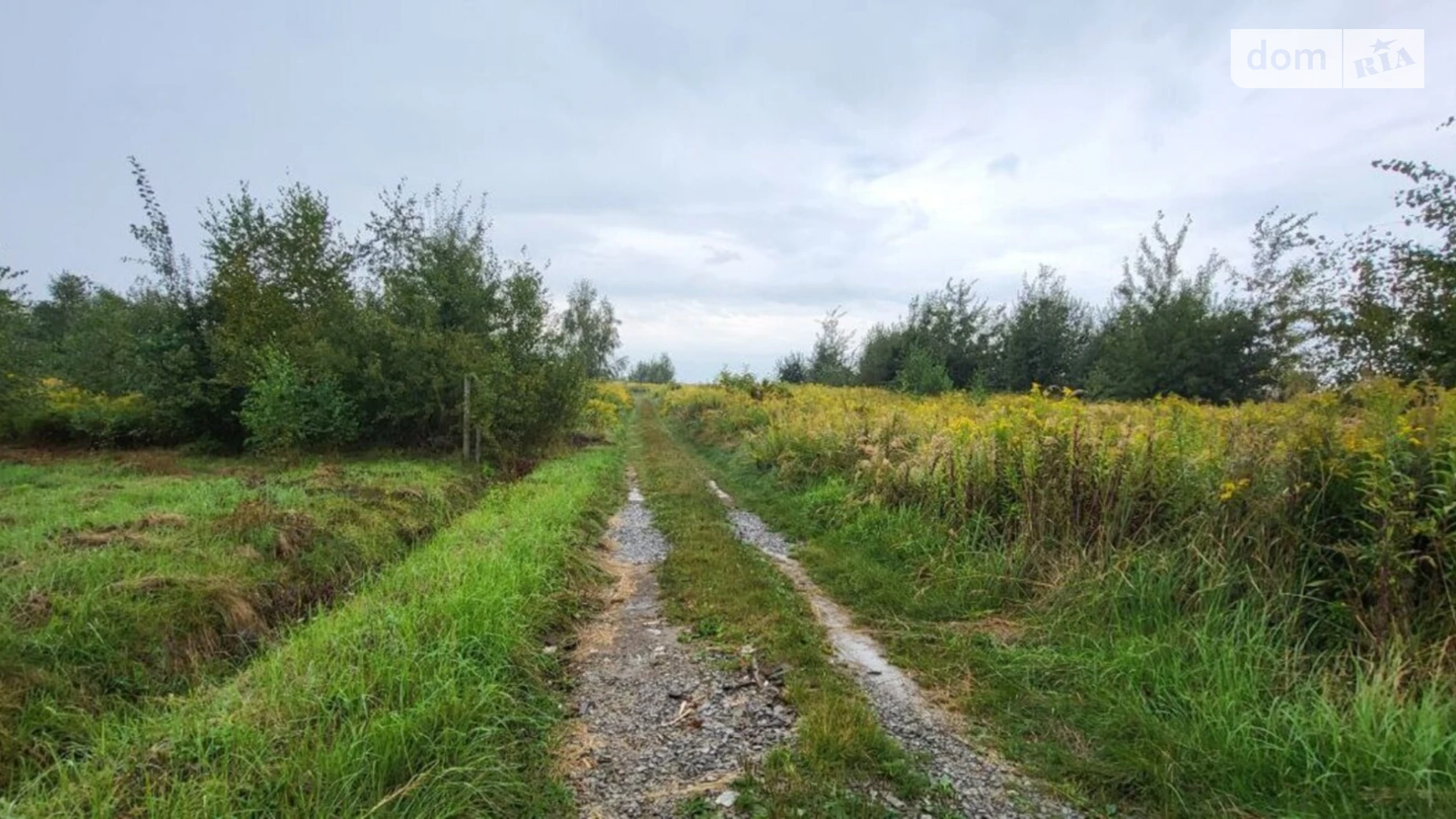 Продается земельный участок 10 соток в Львовской области, цена: 38000 $ - фото 4
