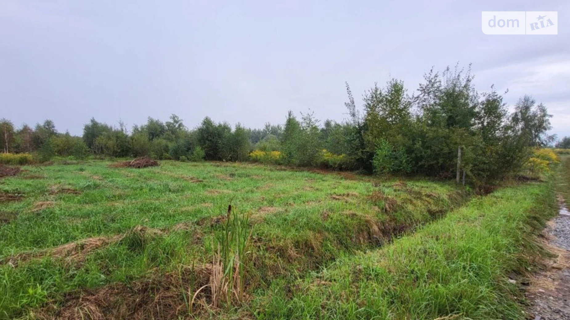 Продается земельный участок 10 соток в Львовской области, цена: 38000 $ - фото 2