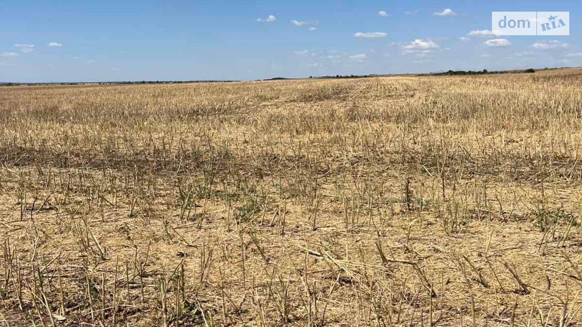 Нове Тарутине, цена: 83425 грн - фото 2