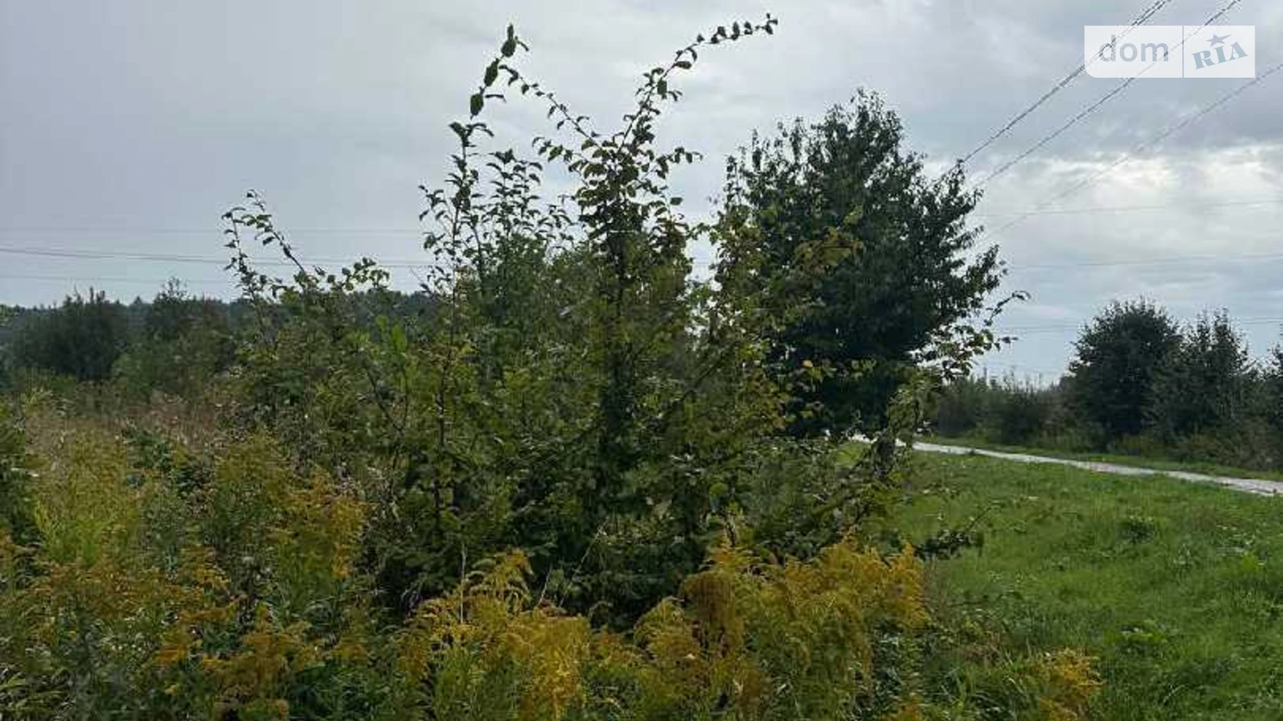 Продается земельный участок 10 соток в Львовской области, цена: 25000 $ - фото 3
