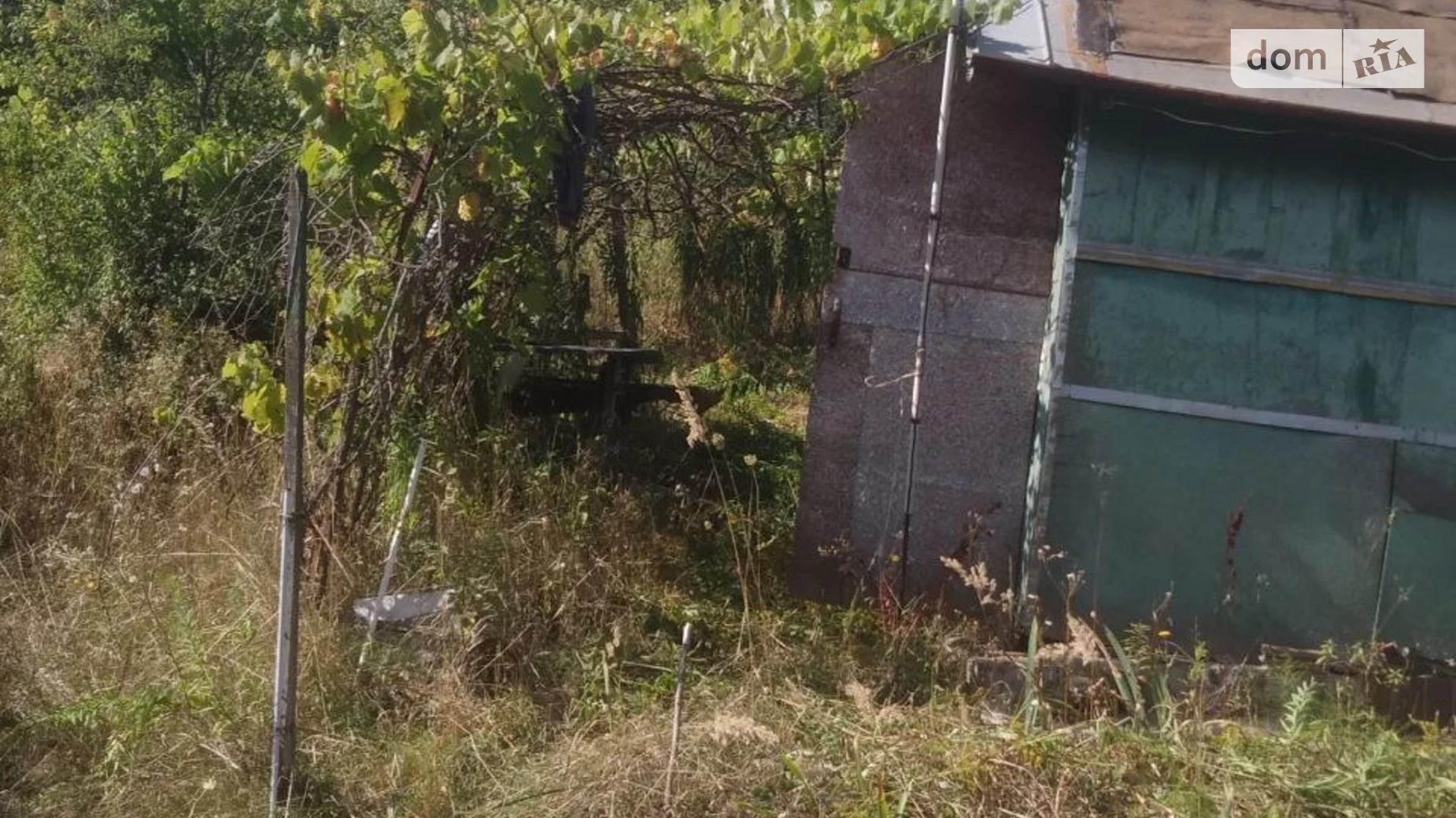 Великие Бирки, цена: 3000 $ - фото 2