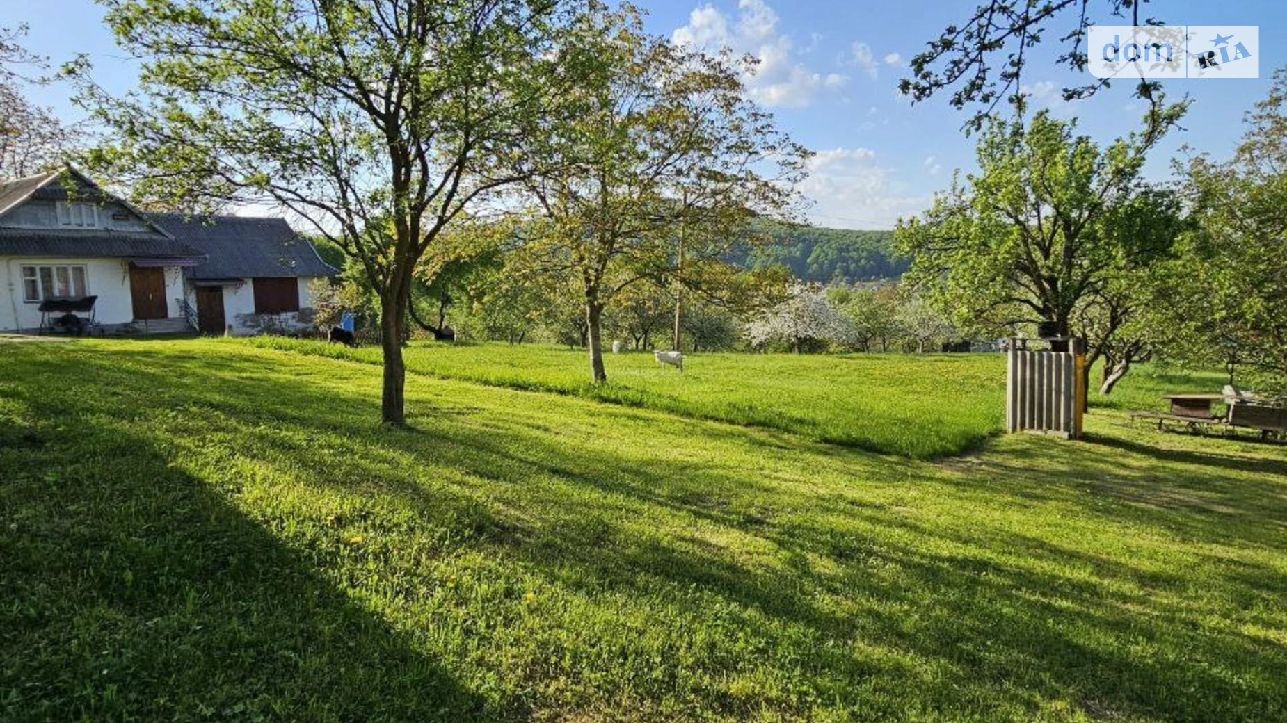 вулиця Лісова Яблонов (Косов), цена: 28000 $ - фото 4