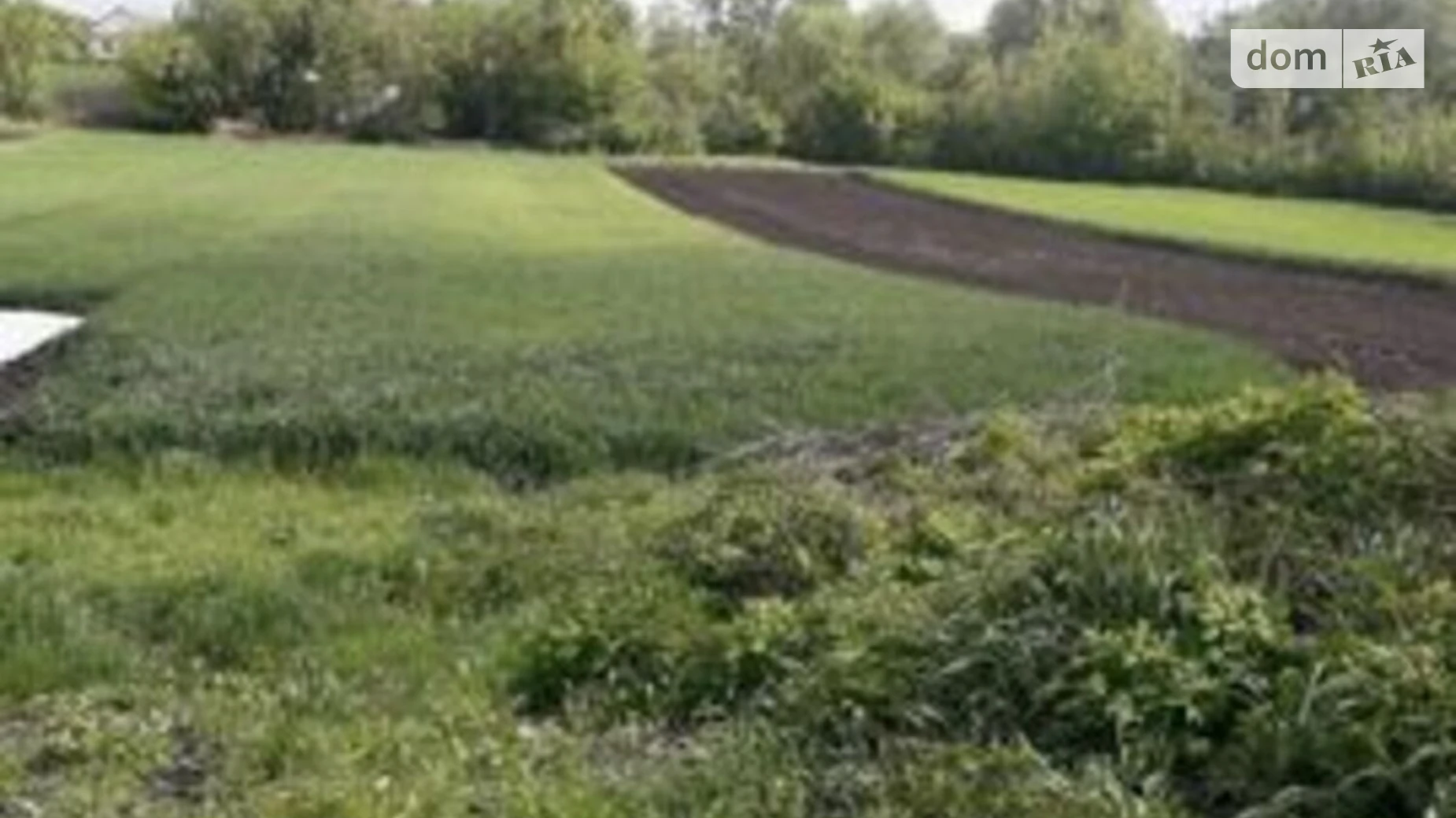 Продается земельный участок 31.47 соток в Хмельницкой области, цена: 2500 $ - фото 3