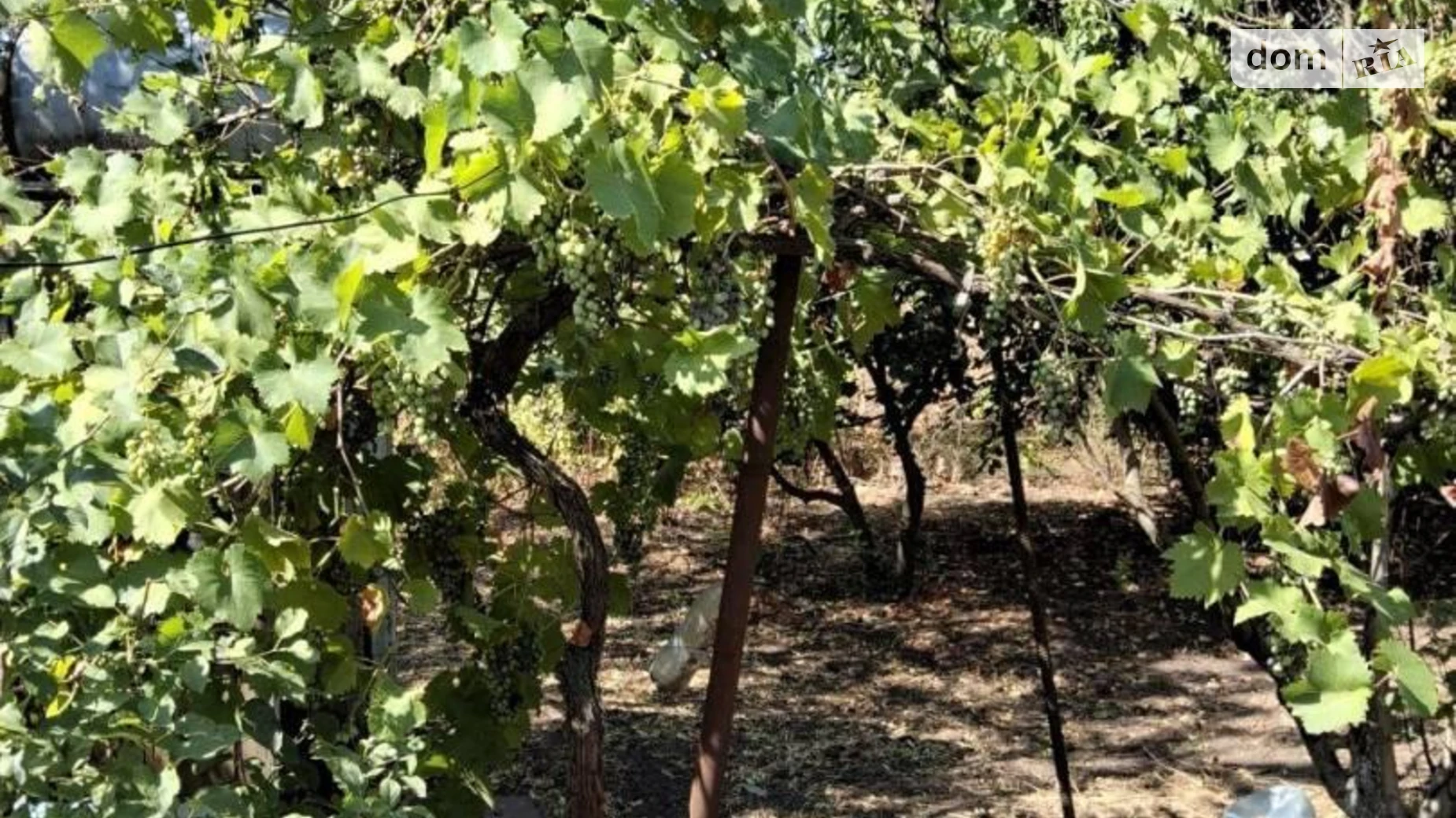 Продается одноэтажный дом 77 кв. м с участком, цена: 12000 $ - фото 5