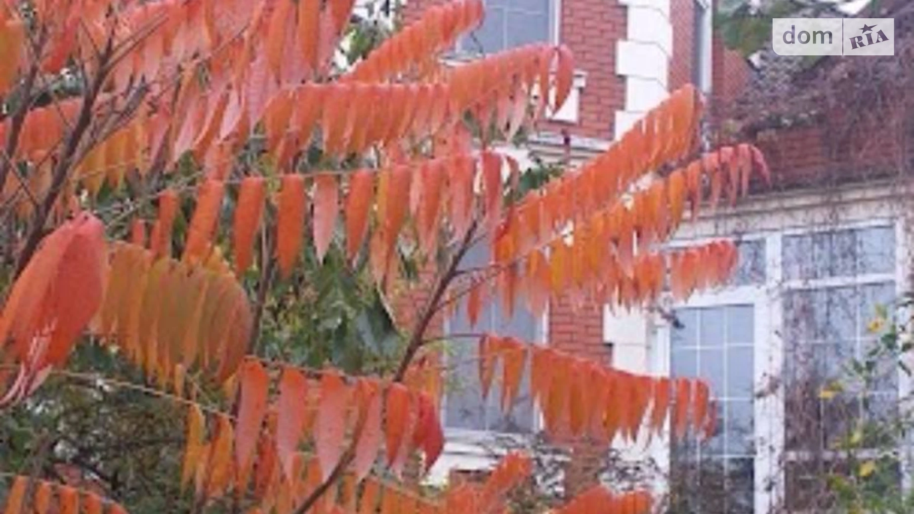 Продается дом на 3 этажа 400 кв. м с участком, цена: 185000 $ - фото 3