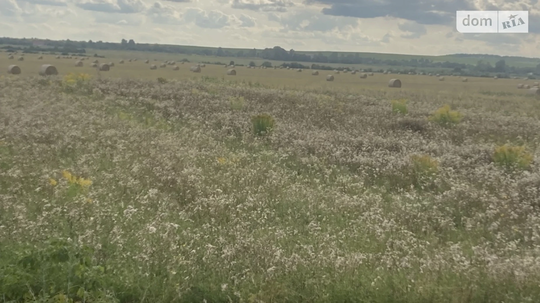 Продается земельный участок 25 соток в Ровенской области, цена: 4500 $ - фото 4