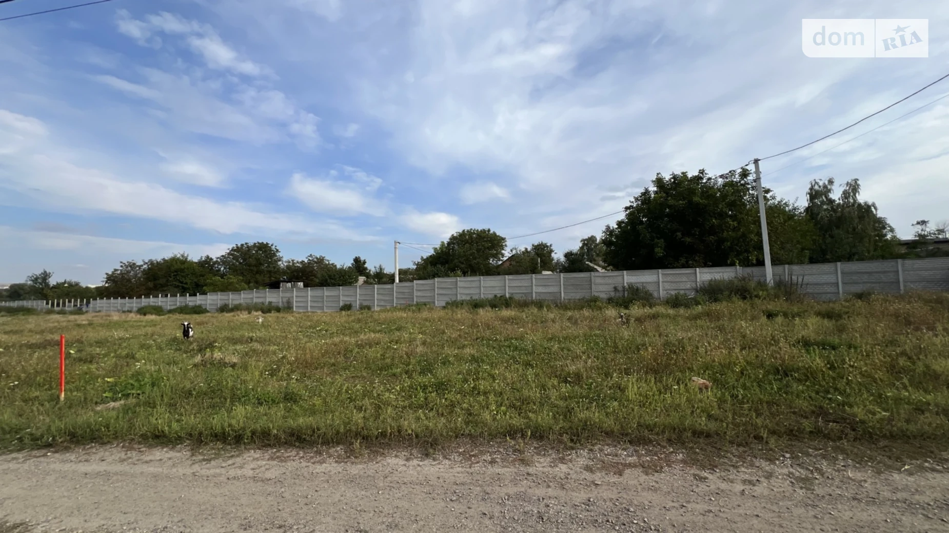Березина, цена: 25000 $ - фото 2