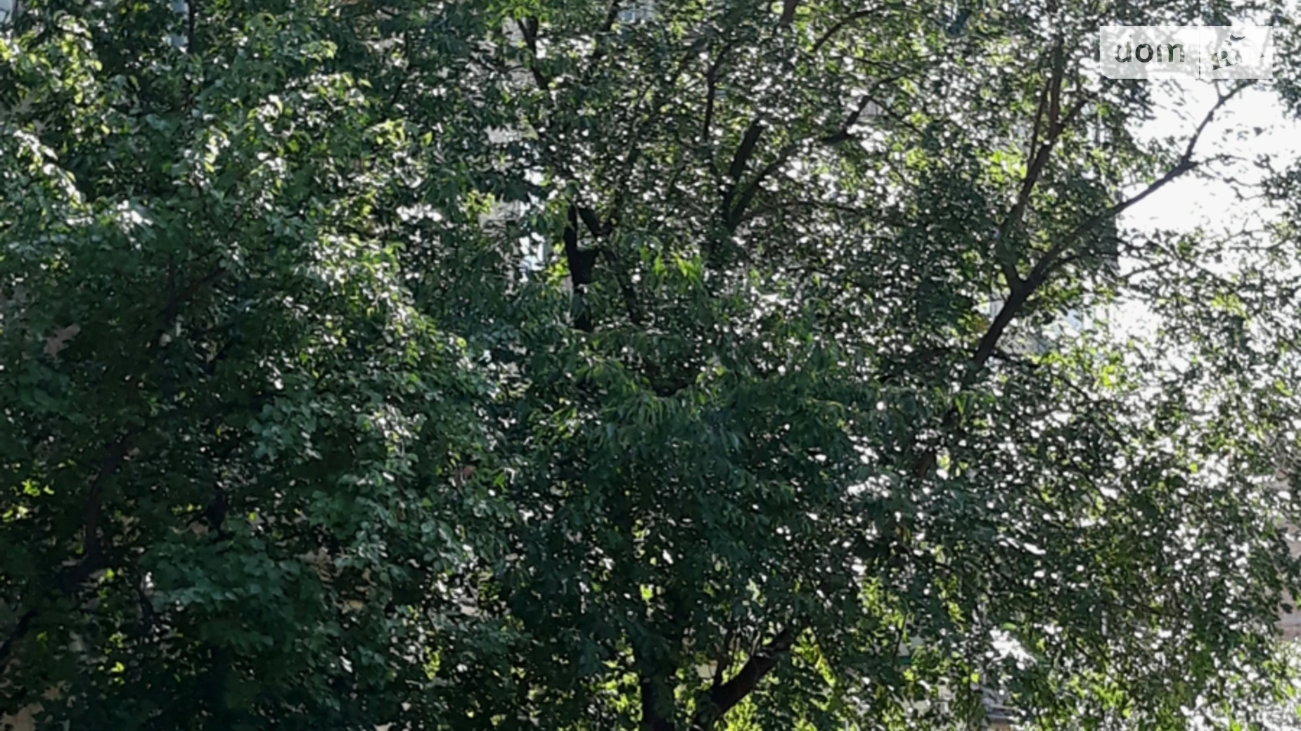 Продается 2-комнатная квартира 67.8 кв. м в Киеве, ул. Бориспольская, 3/3А - фото 2