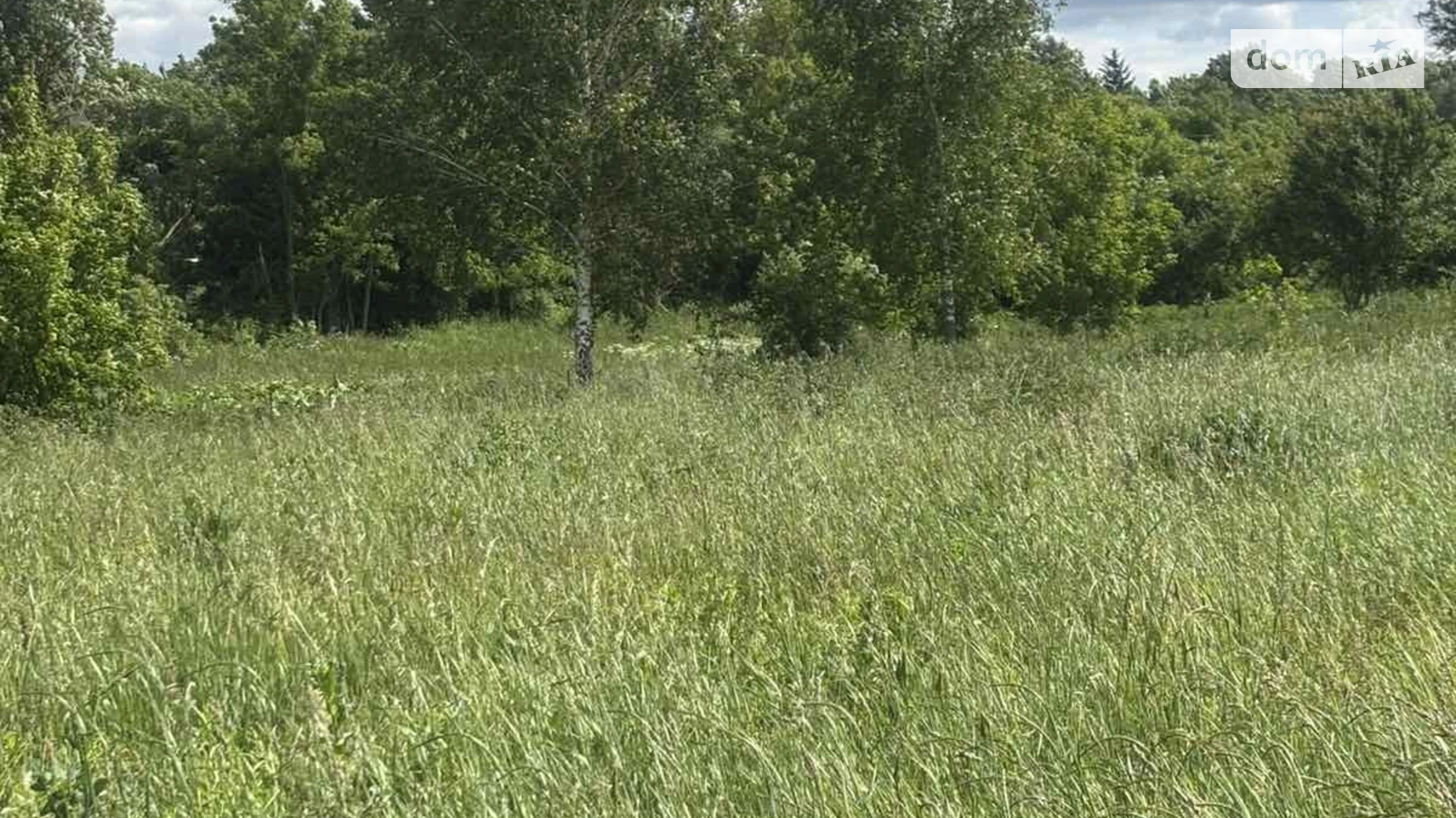 Продается земельный участок 25 соток в Хмельницкой области, цена: 3100 $ - фото 2