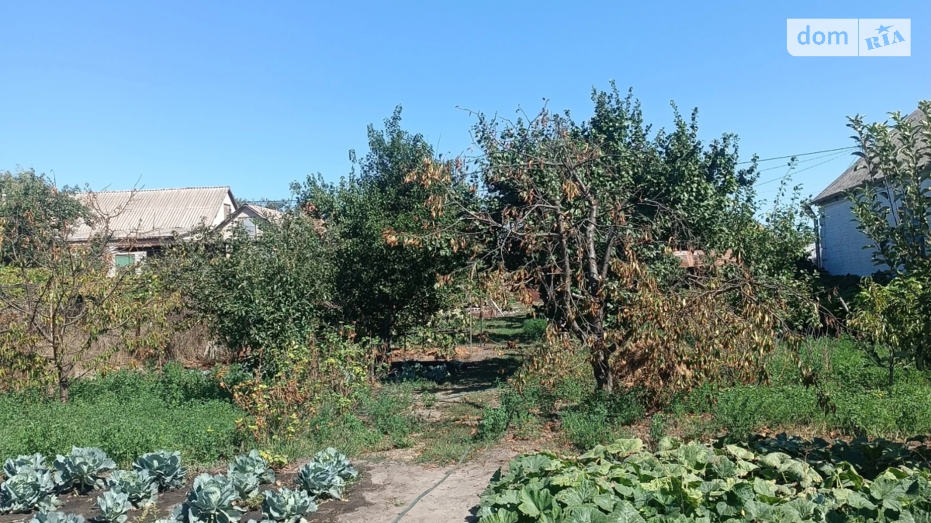 Продается одноэтажный дом 28 кв. м с садом, цена: 16000 $ - фото 4