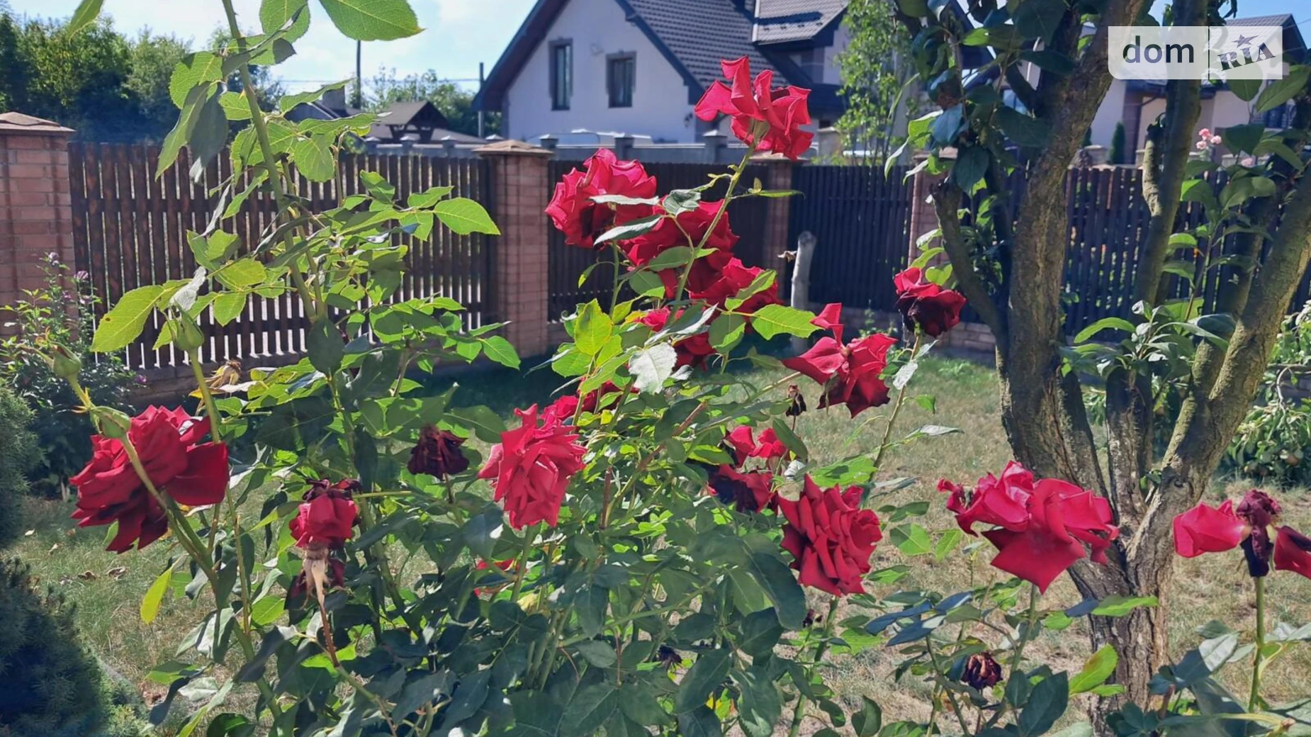 Сдается в аренду дом на 2 этажа 169.4 кв. м с верандой, цена: 1000 $ - фото 4