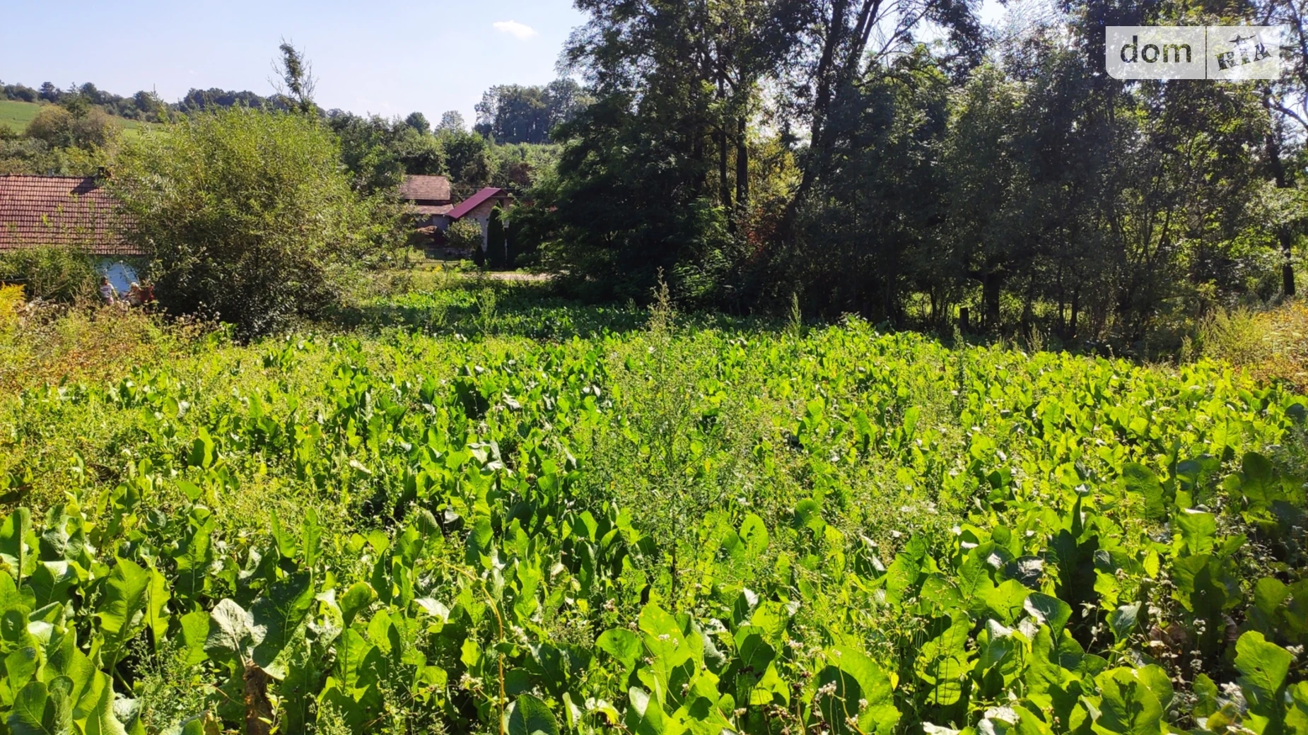 Продается земельный участок 0.7411 соток в Львовской области, цена: 9800 $ - фото 4