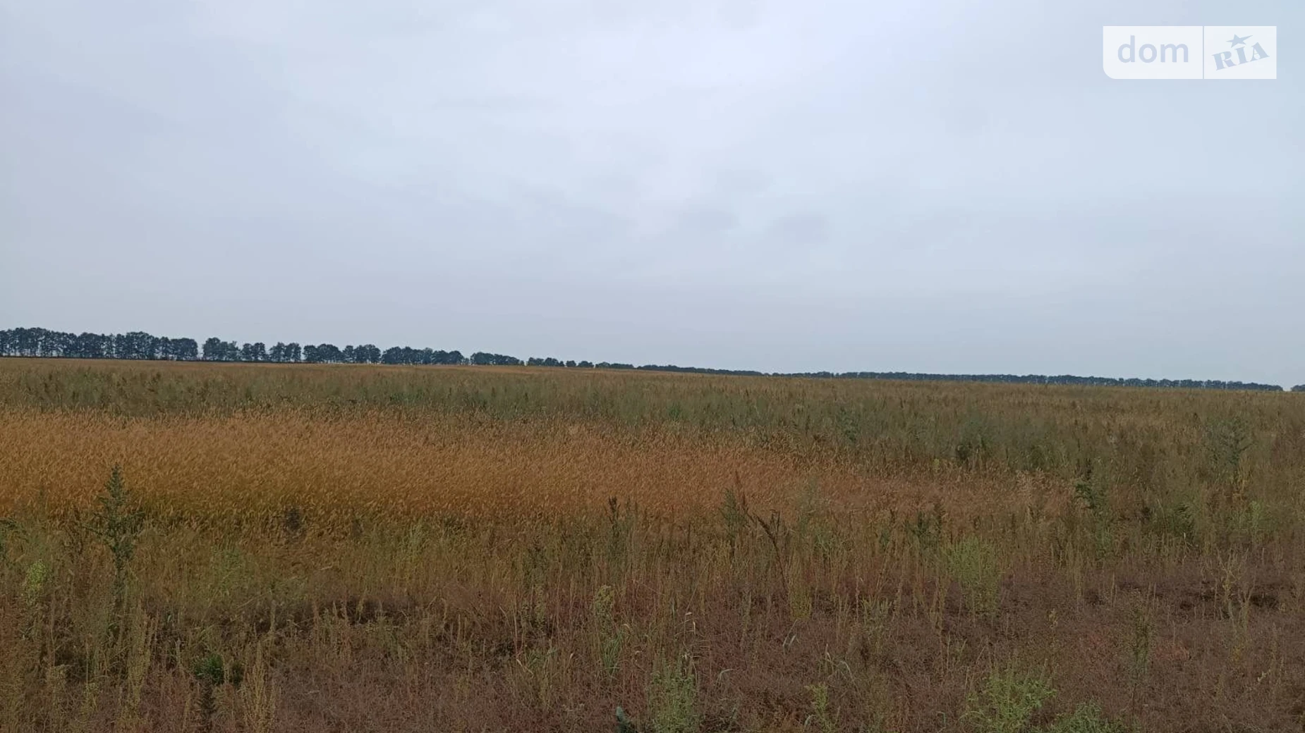 Сдается в аренду земельный участок 13 соток в Винницкой области, цена: 16979 грн - фото 2