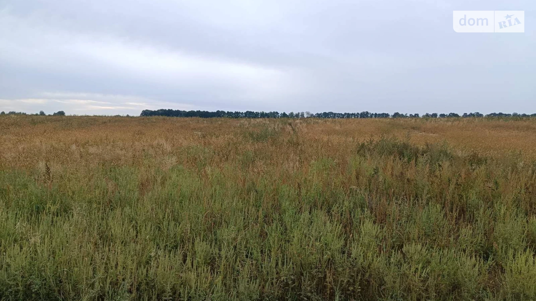 Сдается в аренду земельный участок 13 соток в Винницкой области, цена: 16979 грн - фото 3