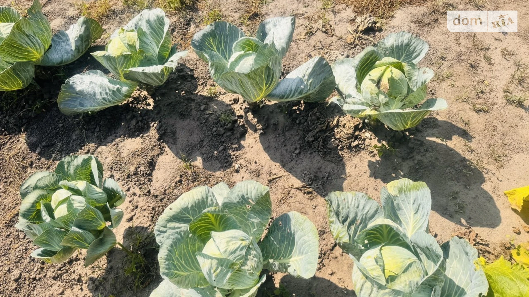 Продається земельна ділянка 16.67 соток у Київській області, цена: 33000 $ - фото 3