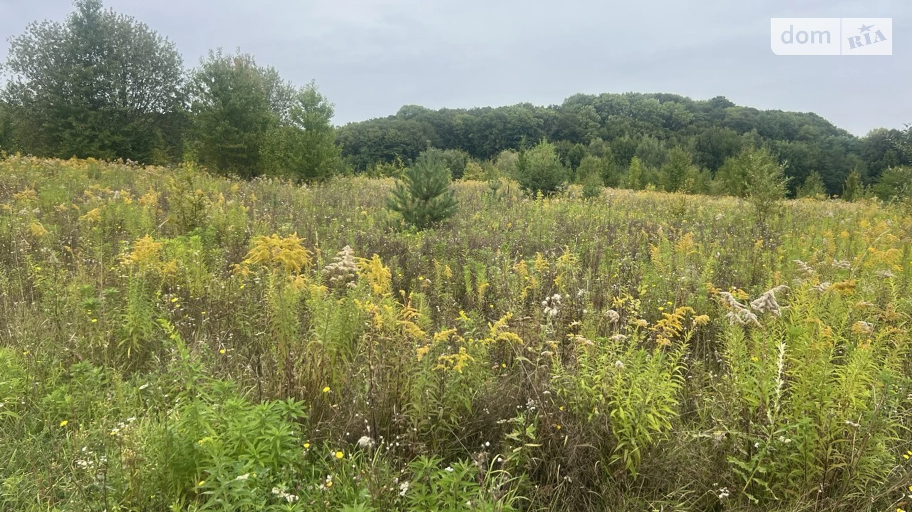 Продається земельна ділянка 10 соток у Вінницькій області, цена: 14000 $ - фото 2
