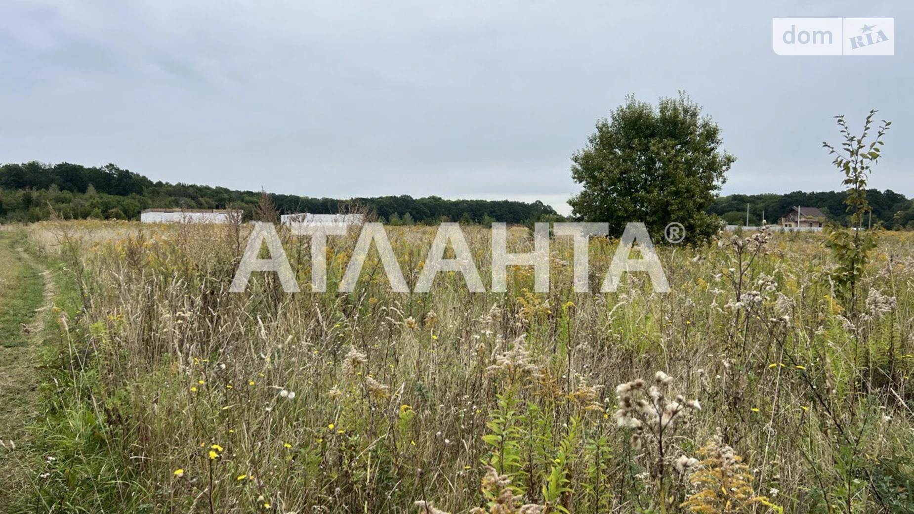 Продается земельный участок 10 соток в Винницкой области, цена: 25000 $ - фото 3