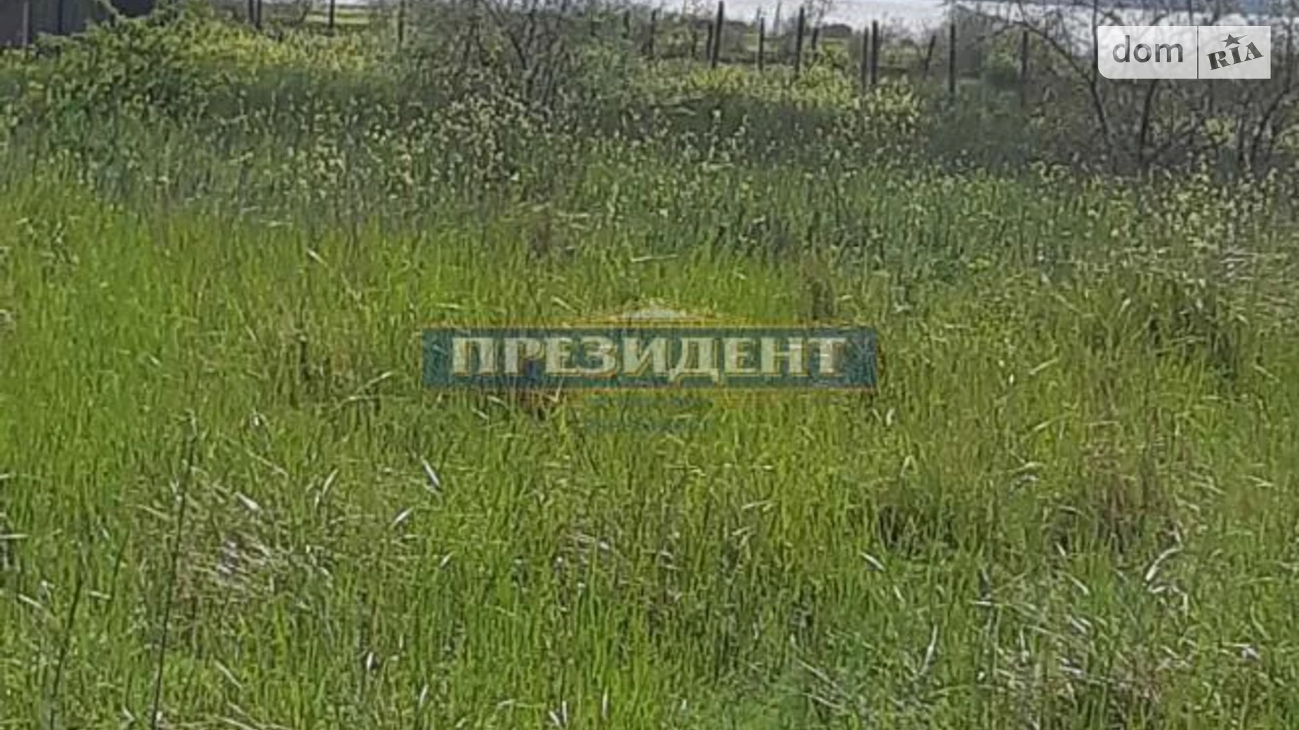 вулиця Шевченко Августовка, цена: 17000 $ - фото 2