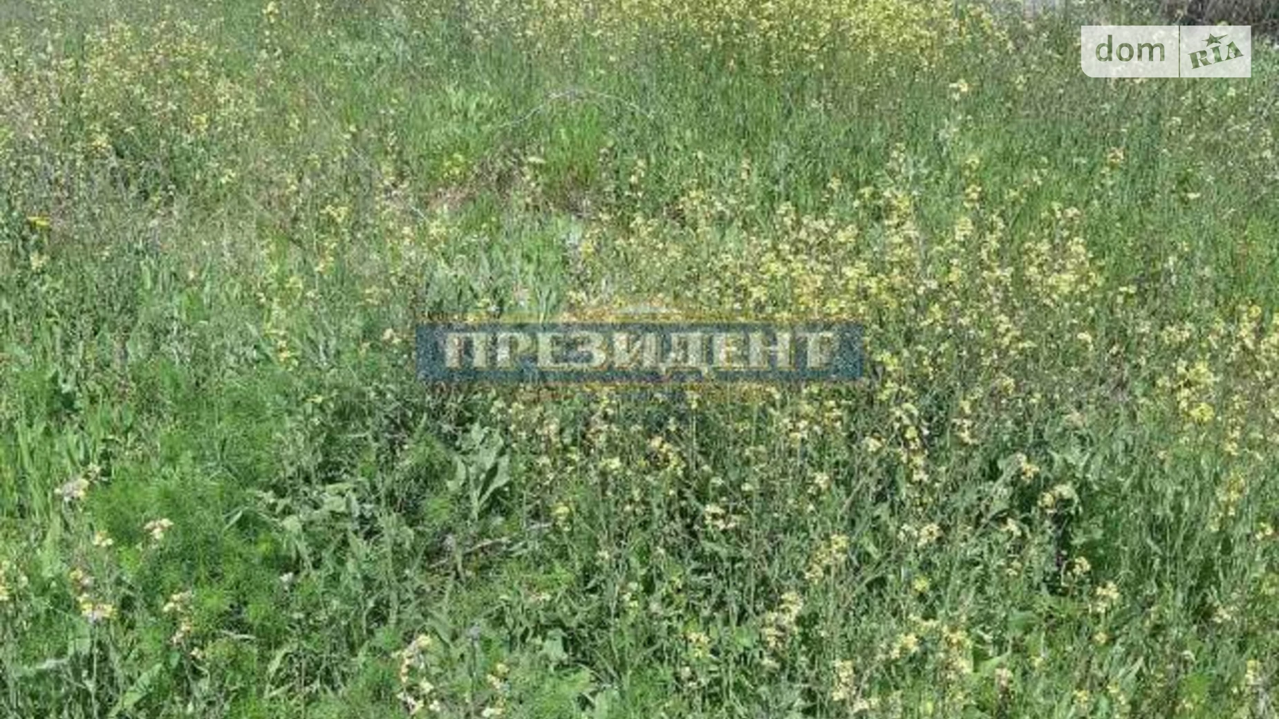вулиця Шевченко Августовка, цена: 17000 $ - фото 3