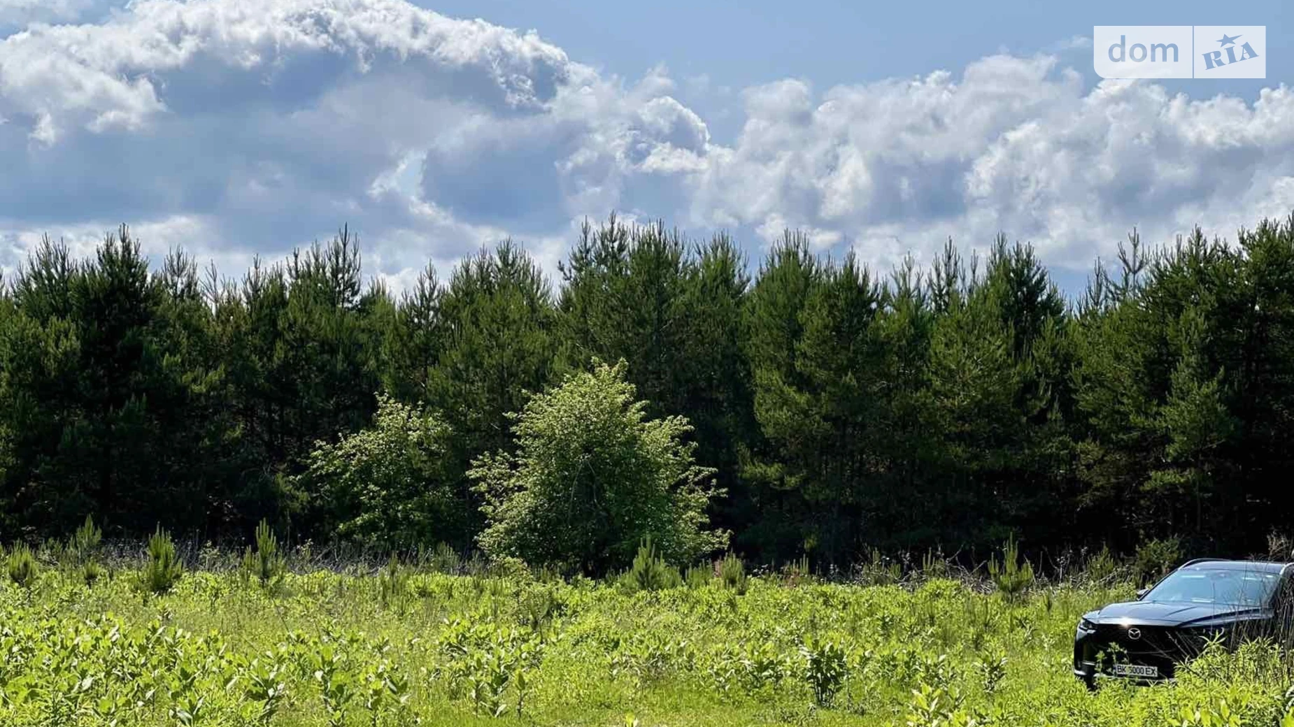Зелёный Дуб, цена: 175000 $ - фото 5