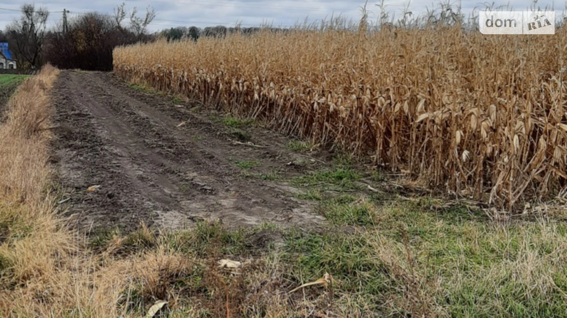 вул. Центральна(Жовтнева) Деремезна, цена: 5500 $ - фото 3