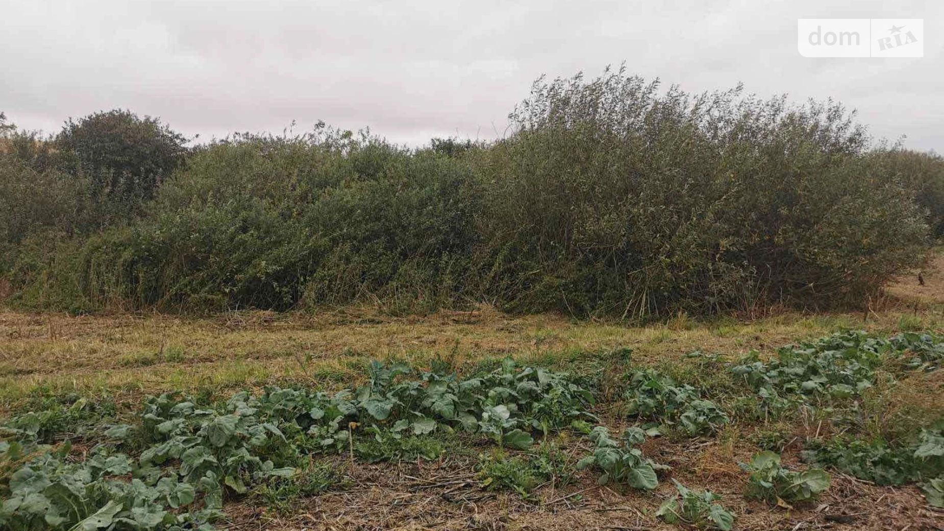 Сдается в аренду земельный участок 0.1 соток в Винницкой области, цена: 17472 грн - фото 2