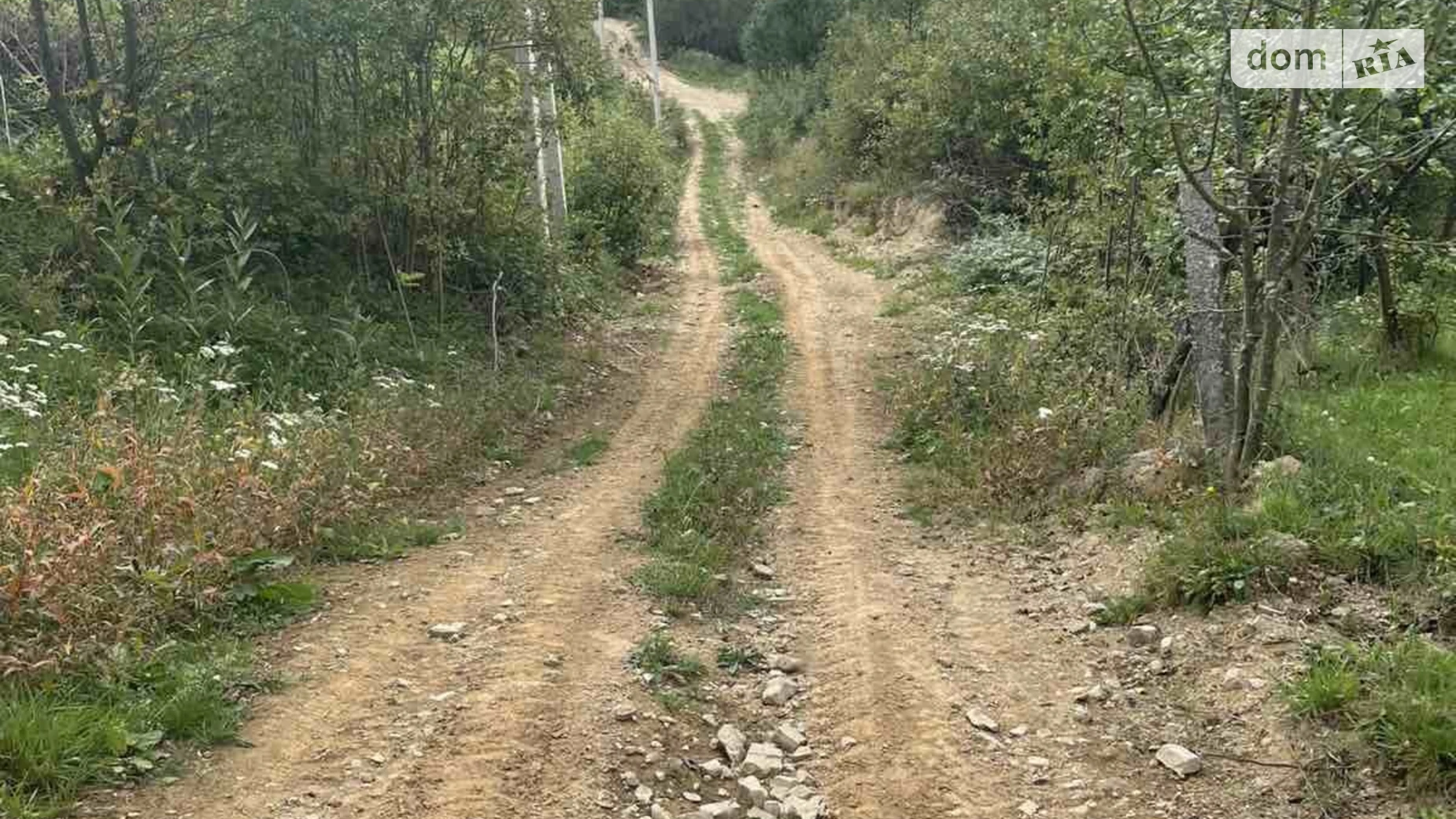 Каменка (Сколе), цена: 70000 $ - фото 4