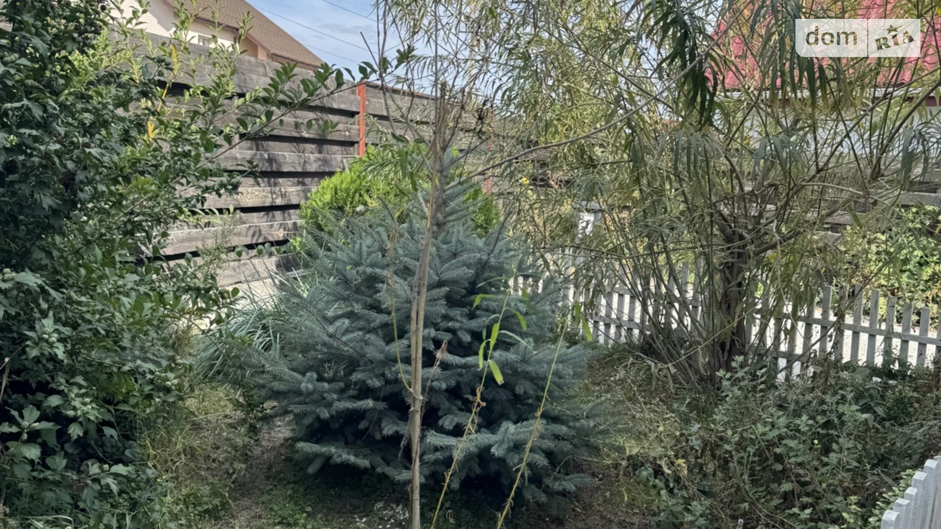 Продается одноэтажный дом 95 кв. м с камином, цена: 100000 $ - фото 2