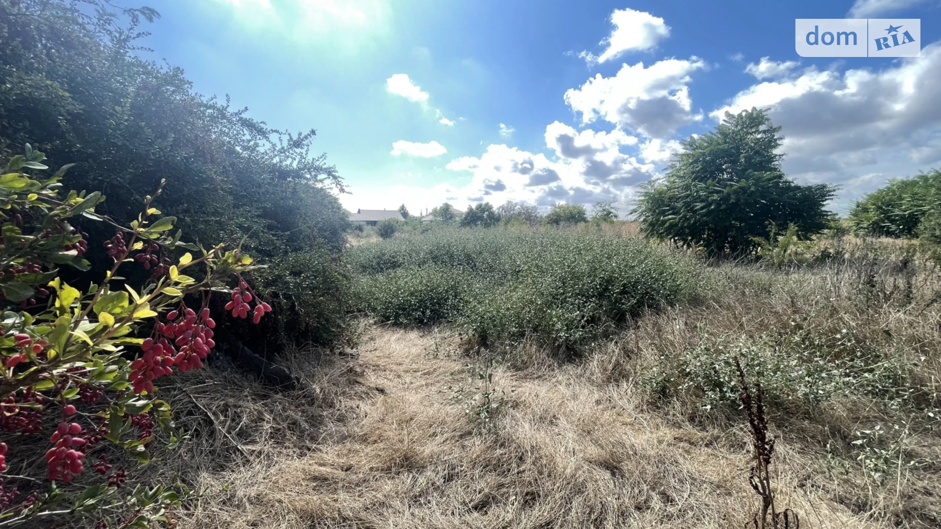 Продается земельный участок 11 соток в Одесской области, цена: 15000 $ - фото 2