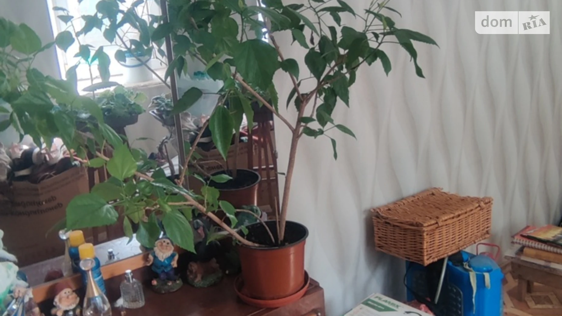 Продается одноэтажный дом 93.7 кв. м с садом, цена: 29000 $ - фото 5