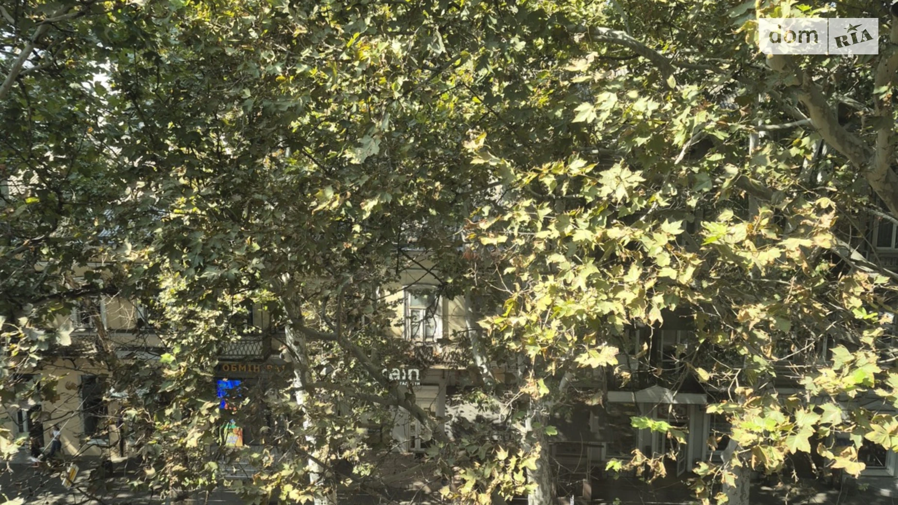 Продается 1-комнатная квартира 26.9 кв. м в Одессе, ул. Ришельевская, 47 - фото 5