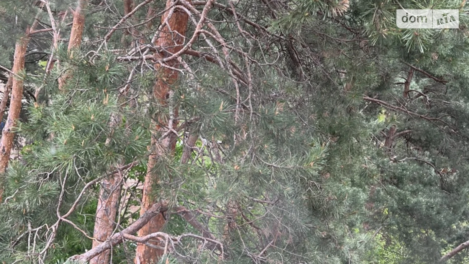 Продается 1-комнатная квартира 36.8 кв. м в Киеве, ул. Радистов, 24 - фото 3